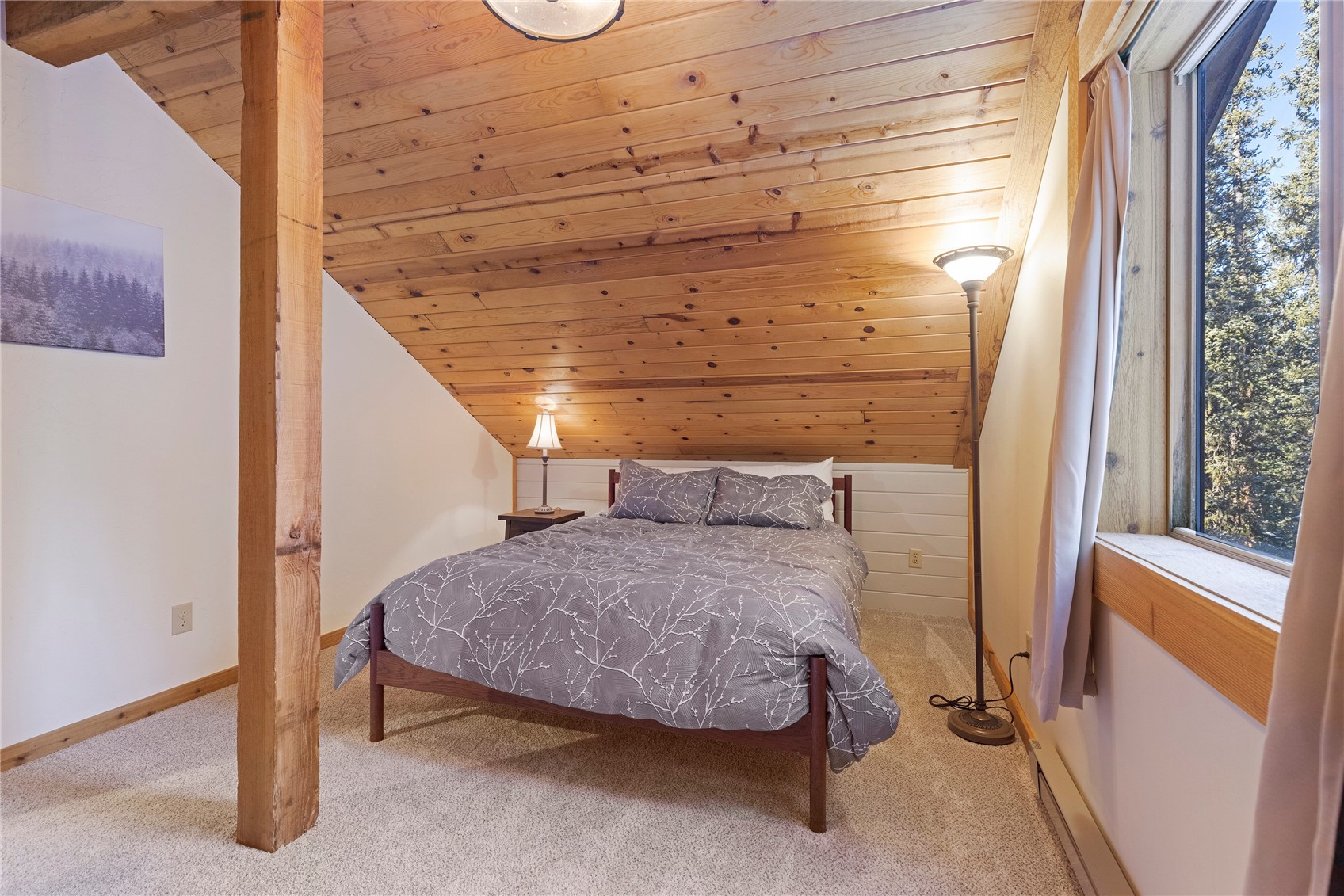 0516 County Road 674 Breckenridge CO 80424