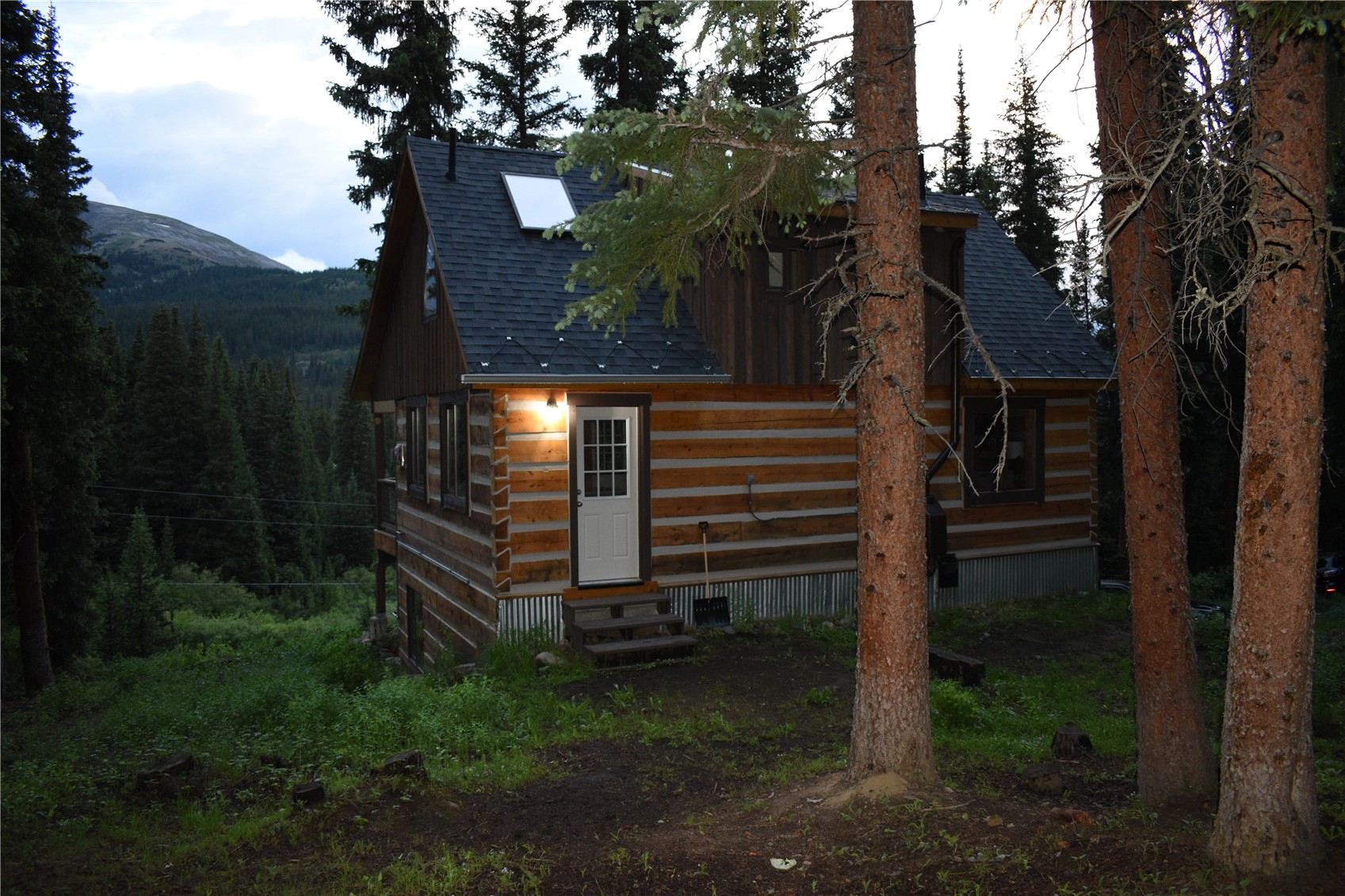 0516 County Road 674 Breckenridge CO 80424