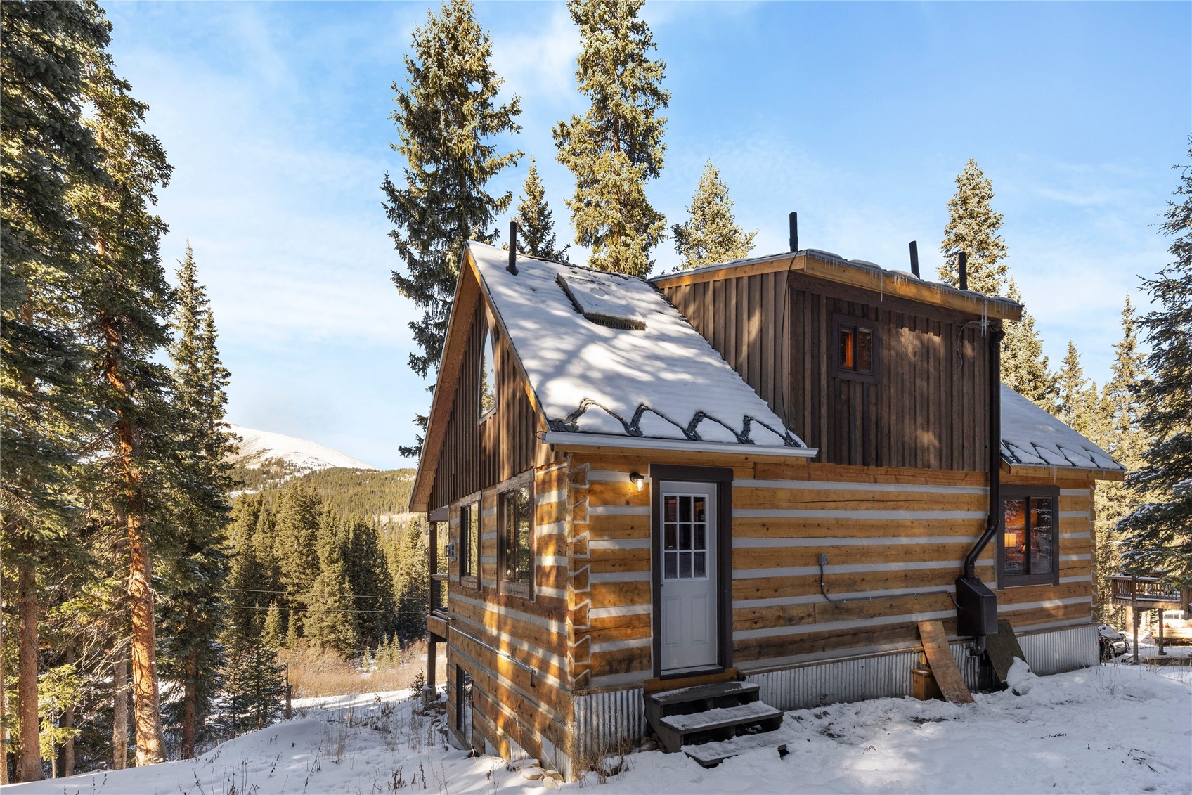 0516 County Road 674 Breckenridge CO 80424