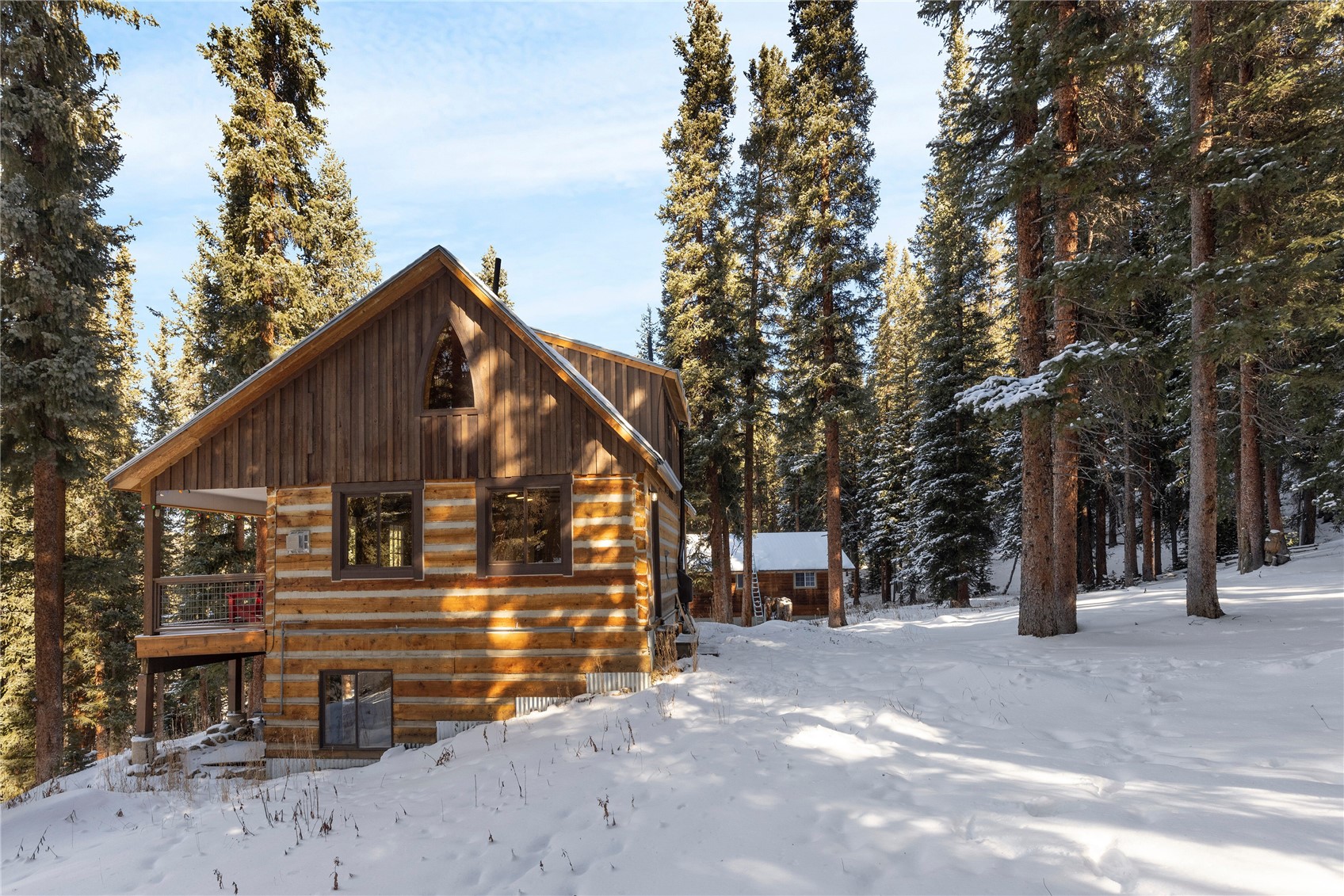 0516 County Road 674 Breckenridge CO 80424