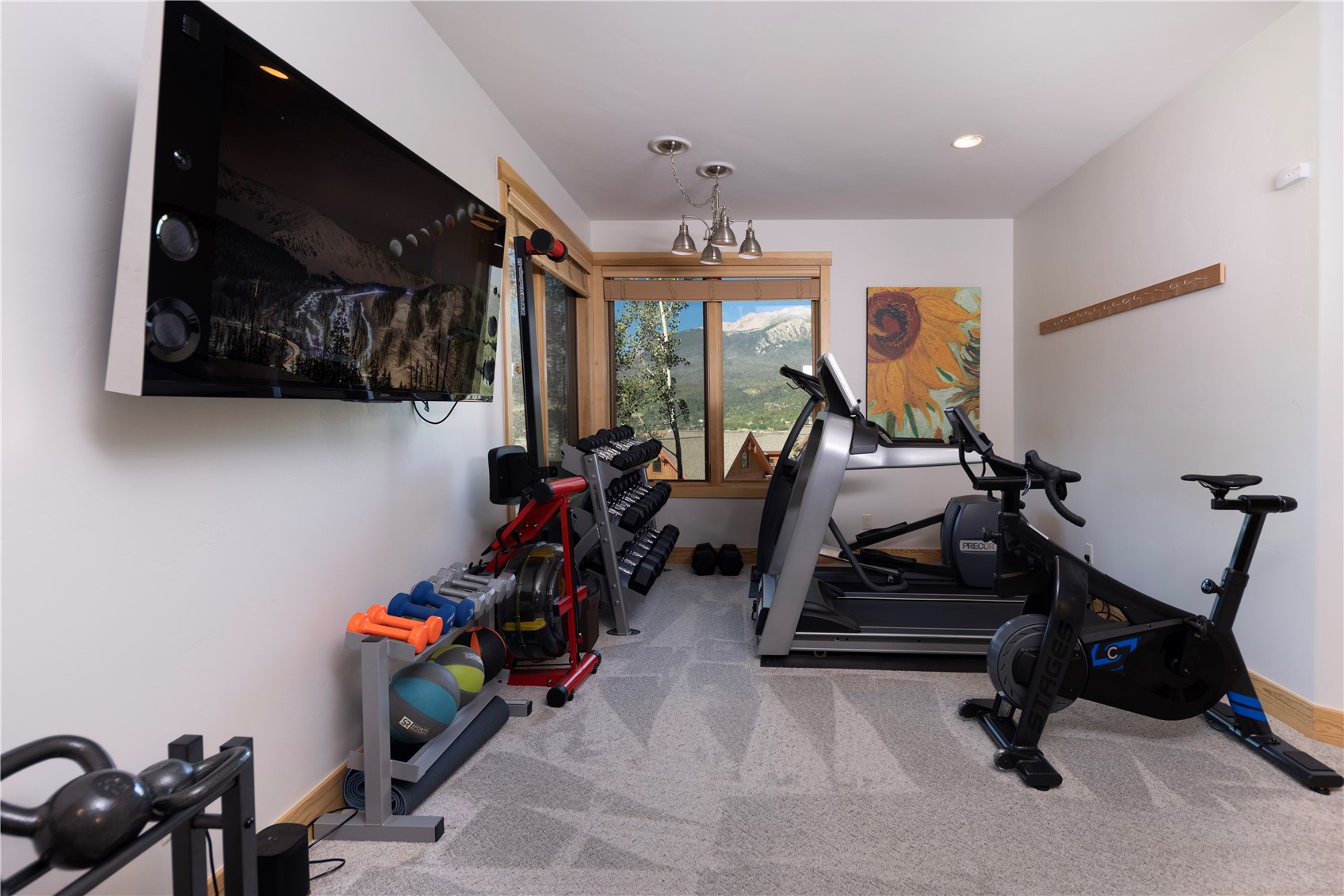 1192 Bald Eagle Road Silverthorne CO 80498