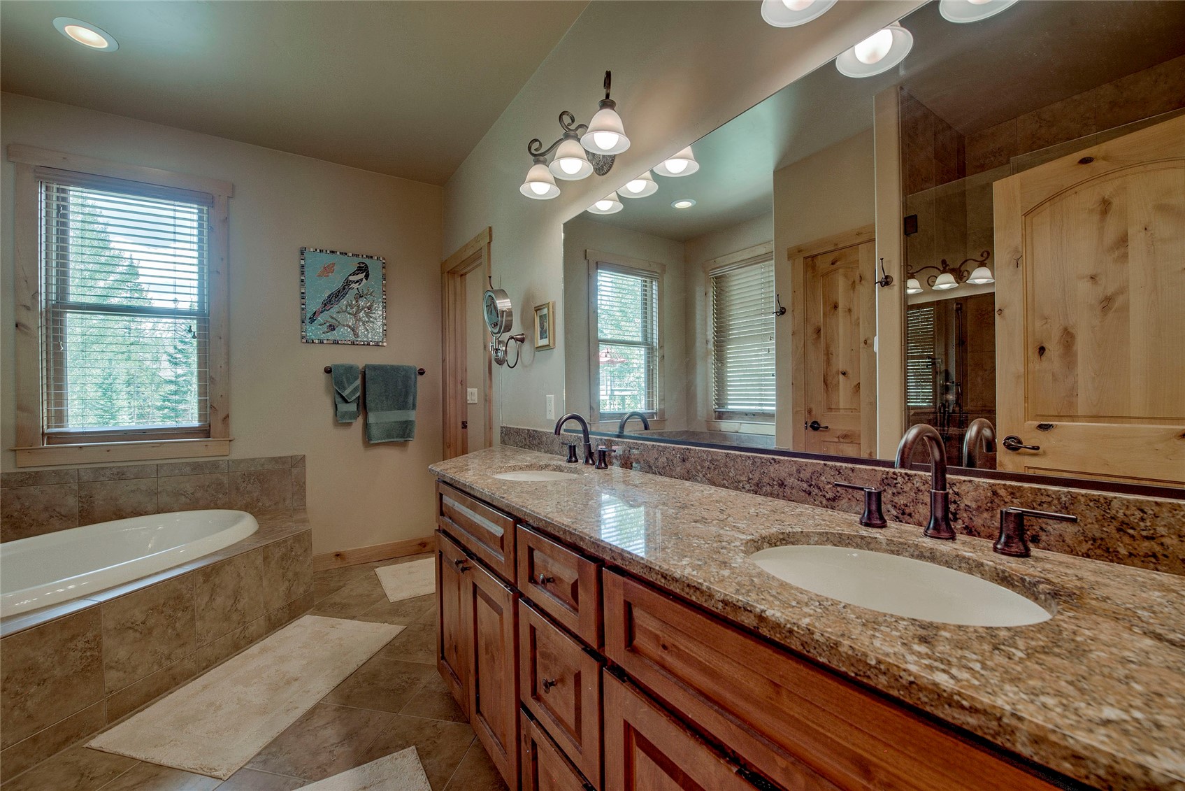 183 Elk Thistle Drive Silverthorne CO 80498
