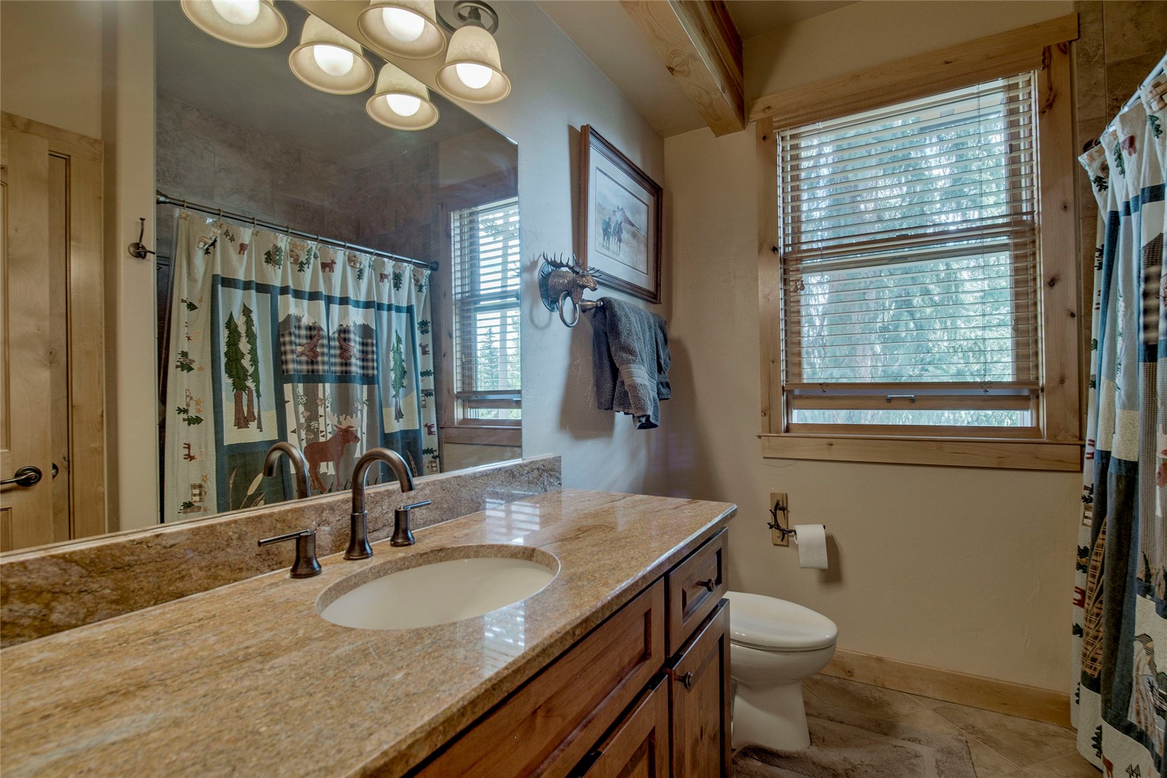 183 Elk Thistle Drive Silverthorne CO 80498