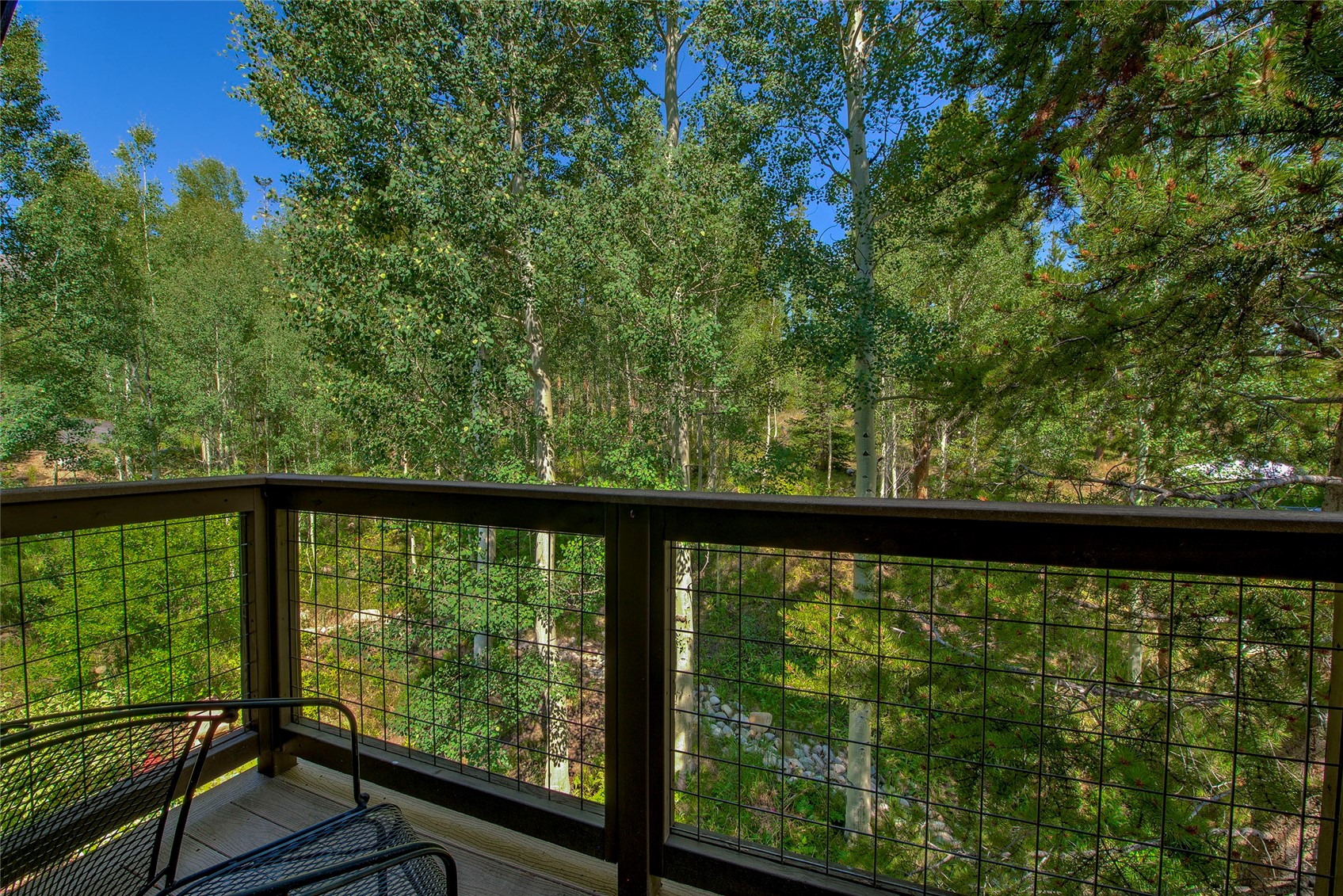 183 Elk Thistle Drive Silverthorne CO 80498