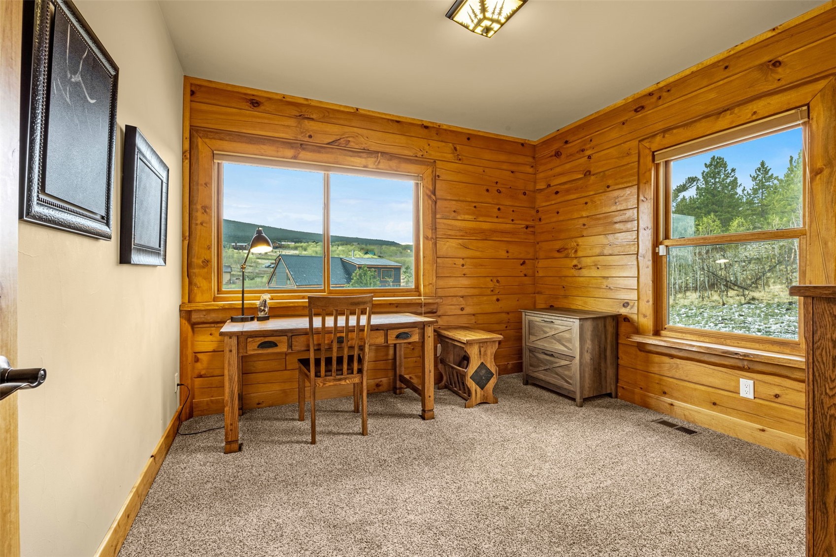 3418 High Creek Road Fairplay CO 80440