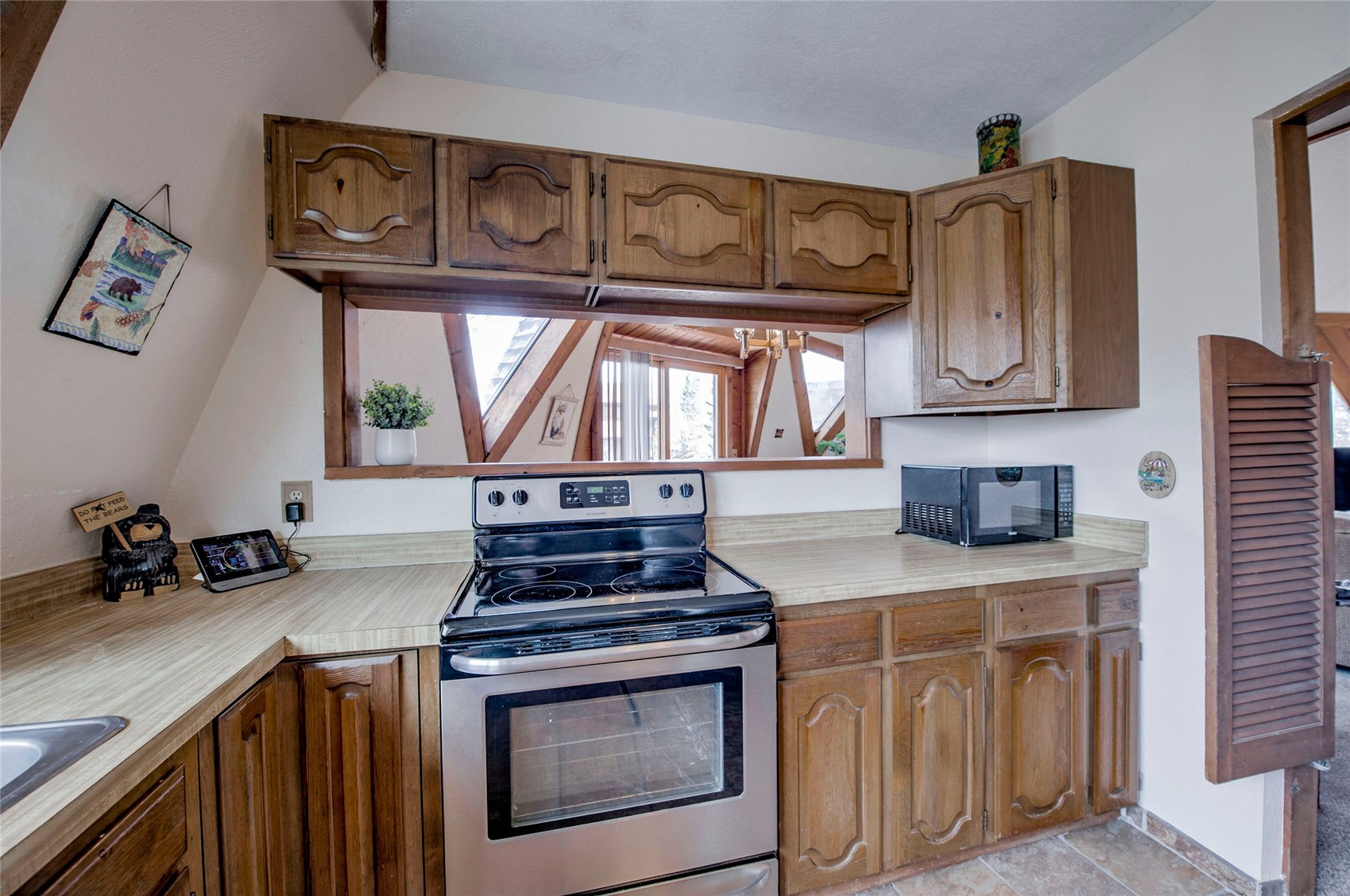 233 Burgundy Circle Silverthorne CO 80498