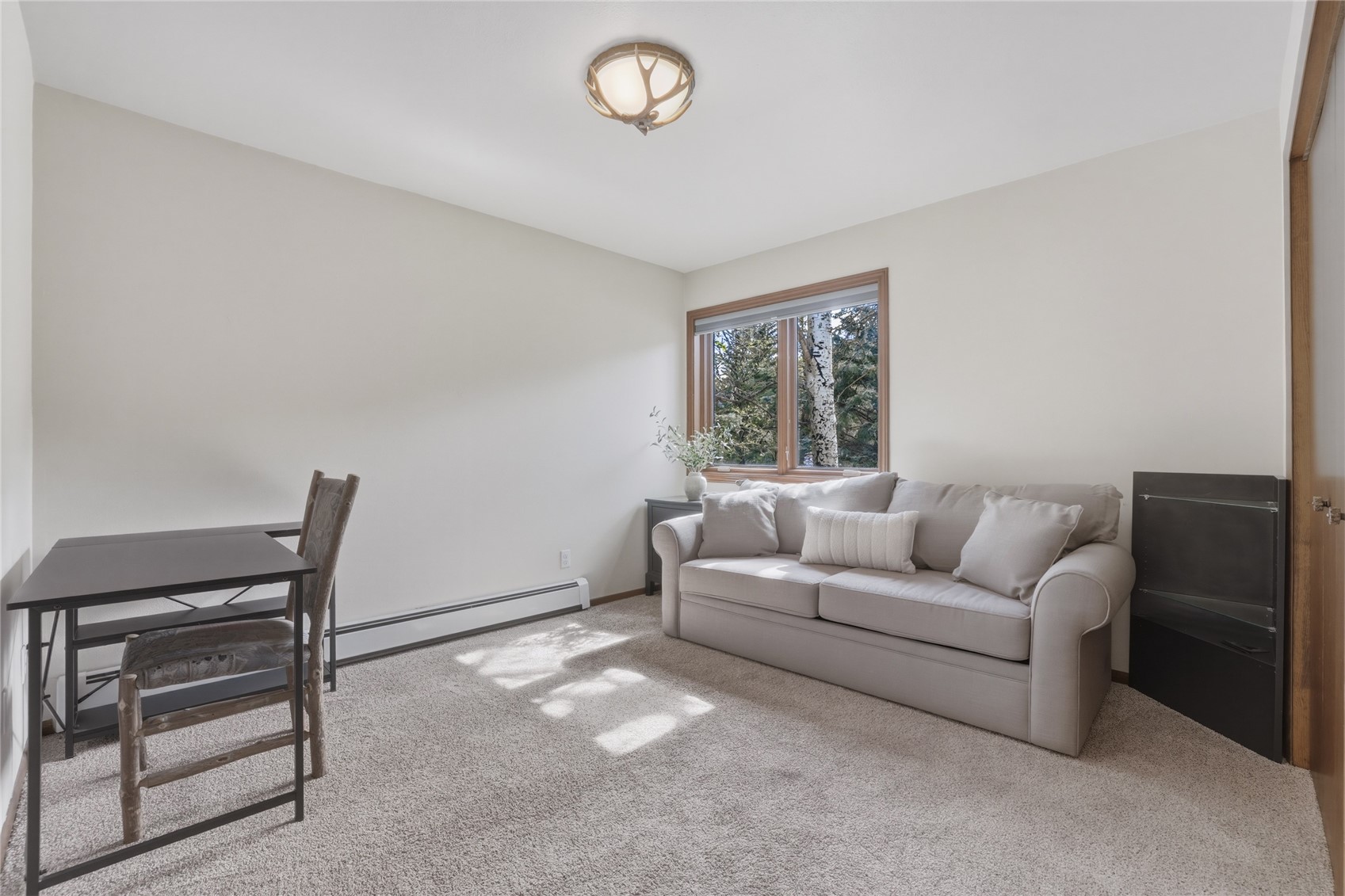 195 Cottonwood Drive Dillon CO 80435