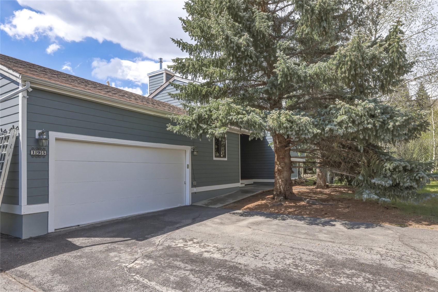 195 Cottonwood Drive Dillon CO 80435