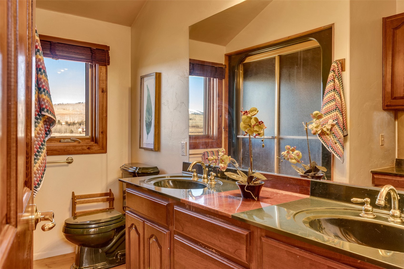 1528 Silverheels Road Fairplay CO 80440