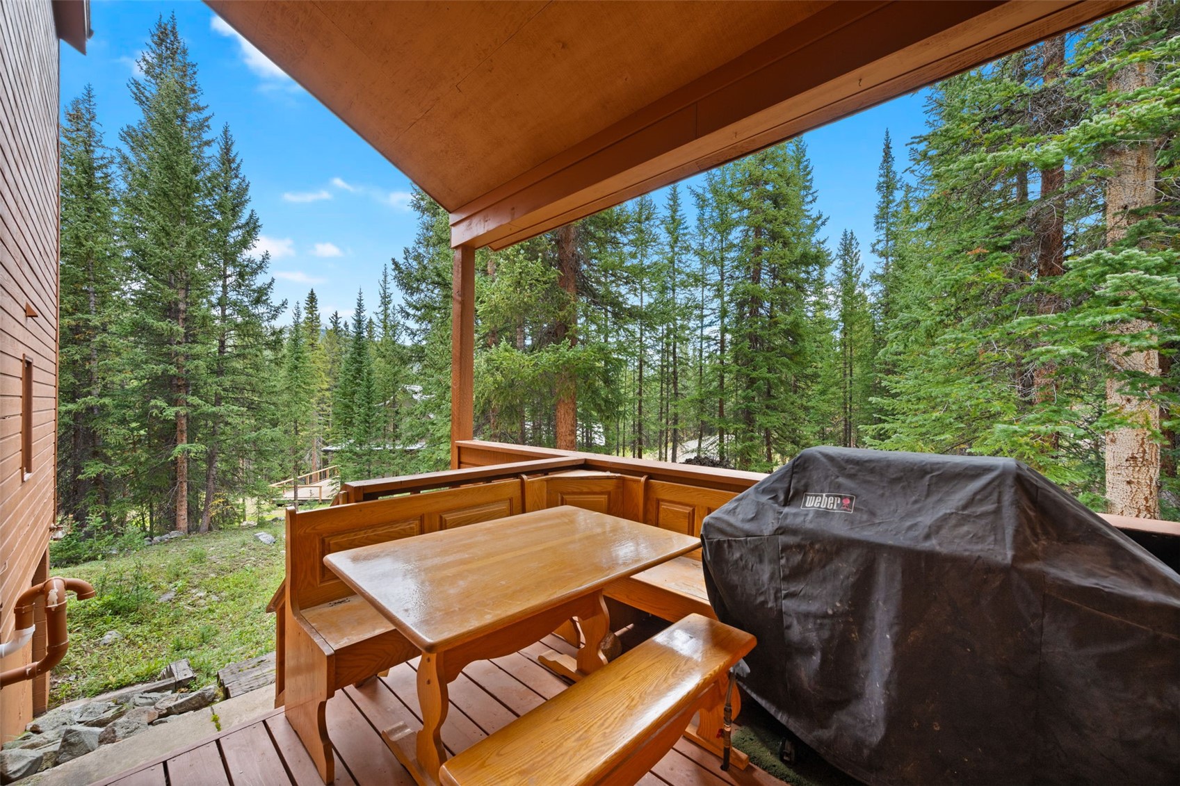 321 Doris Drive Breckenridge CO 80424