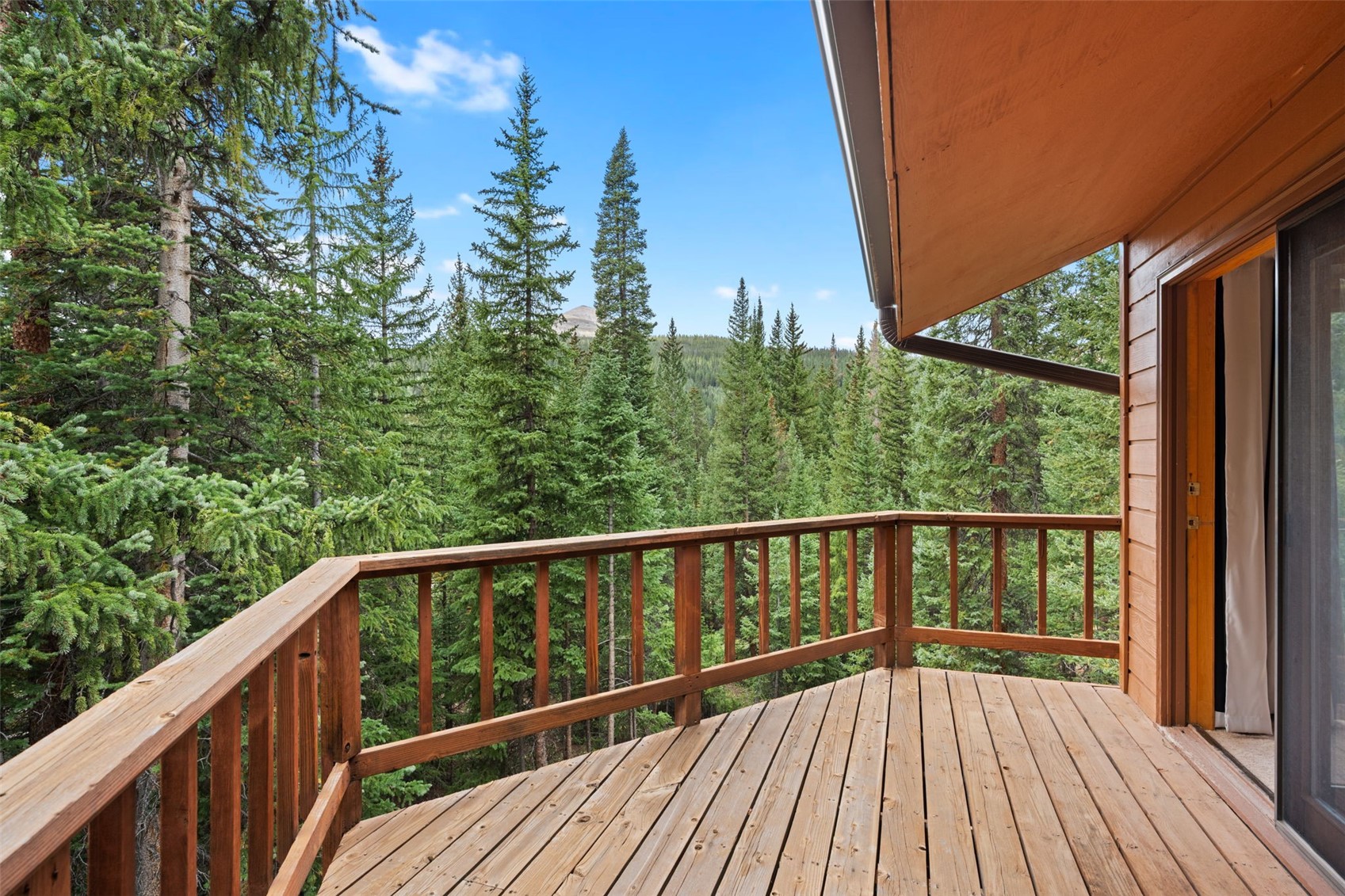 321 Doris Drive Breckenridge CO 80424