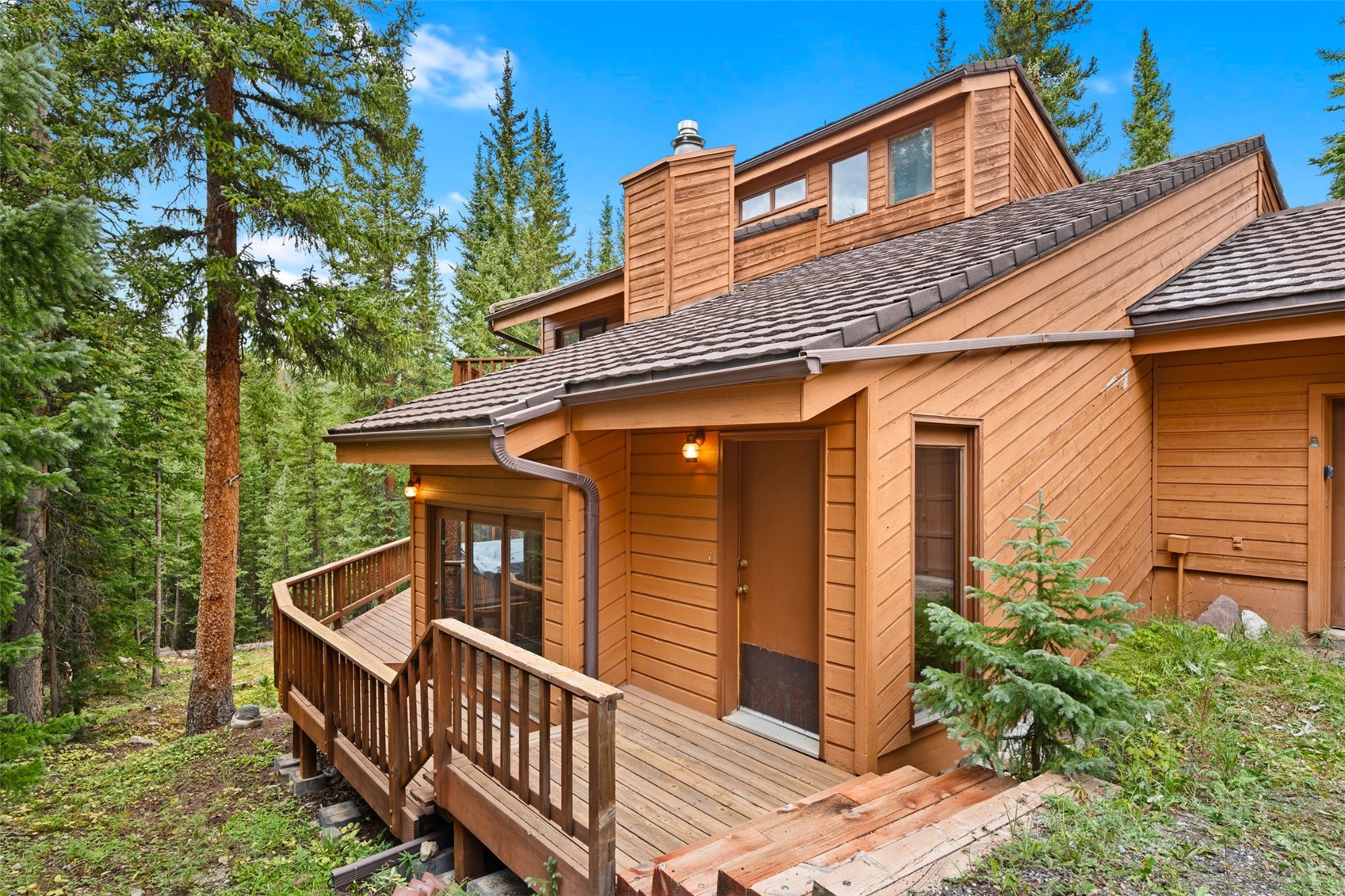 321 Doris Drive Breckenridge CO 80424