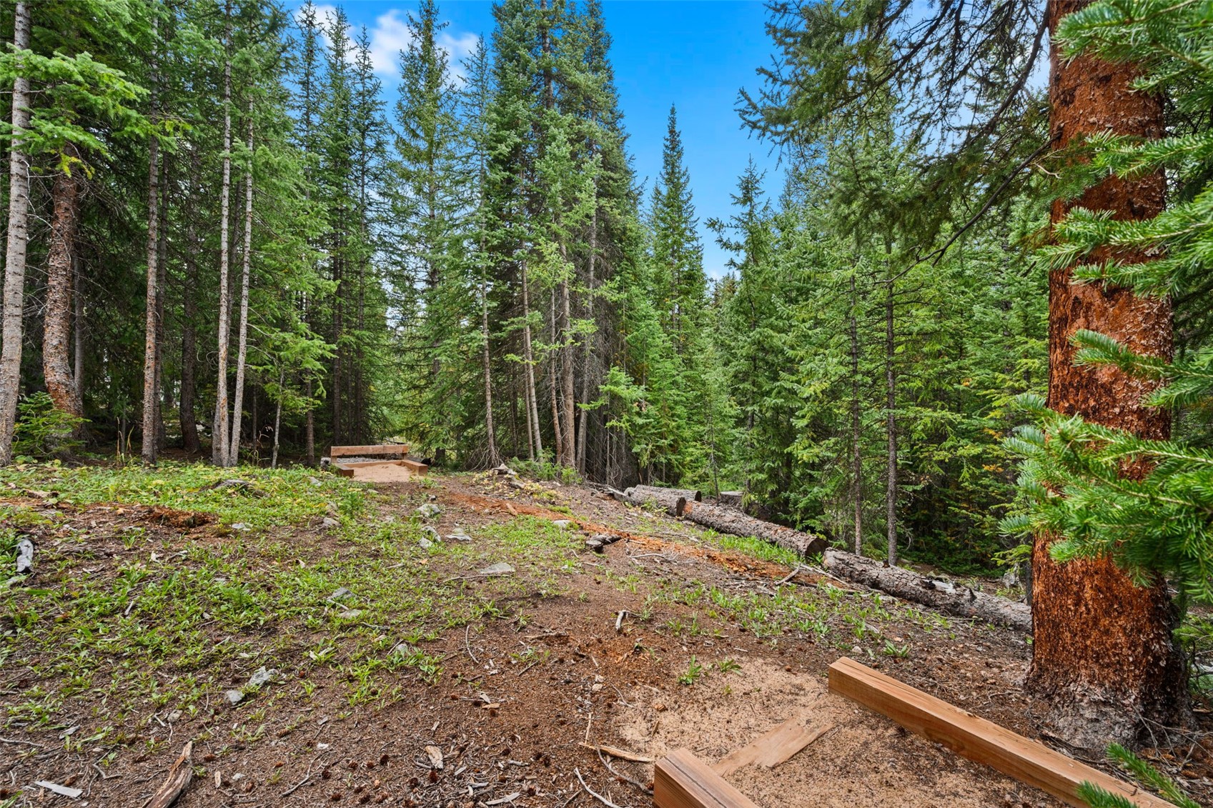 321 Doris Drive Breckenridge CO 80424