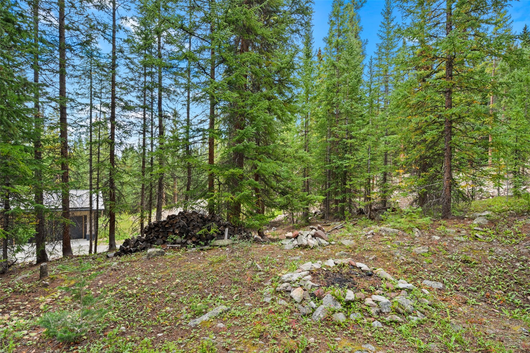321 Doris Drive Breckenridge CO 80424