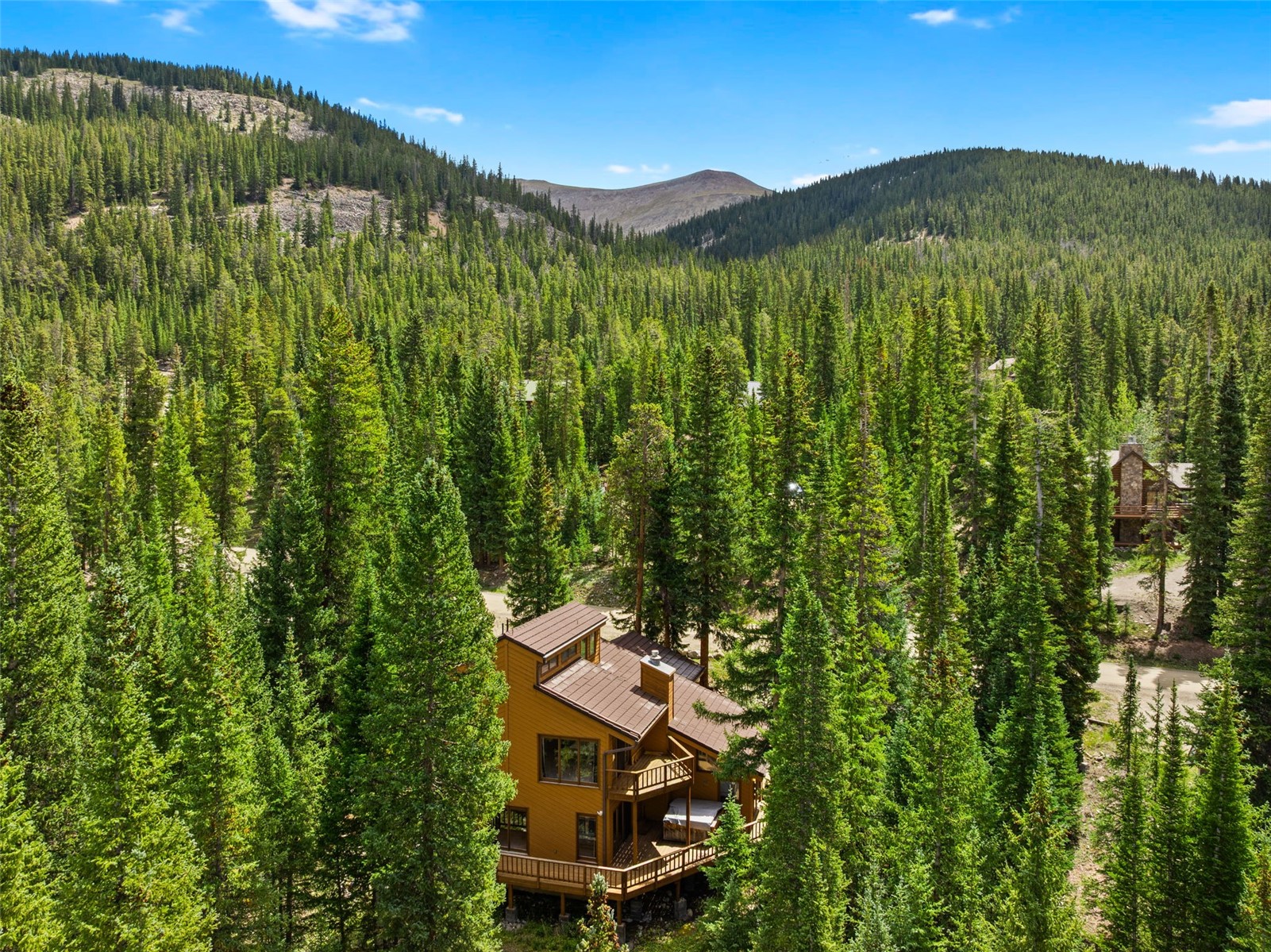 321 Doris Drive Breckenridge CO 80424