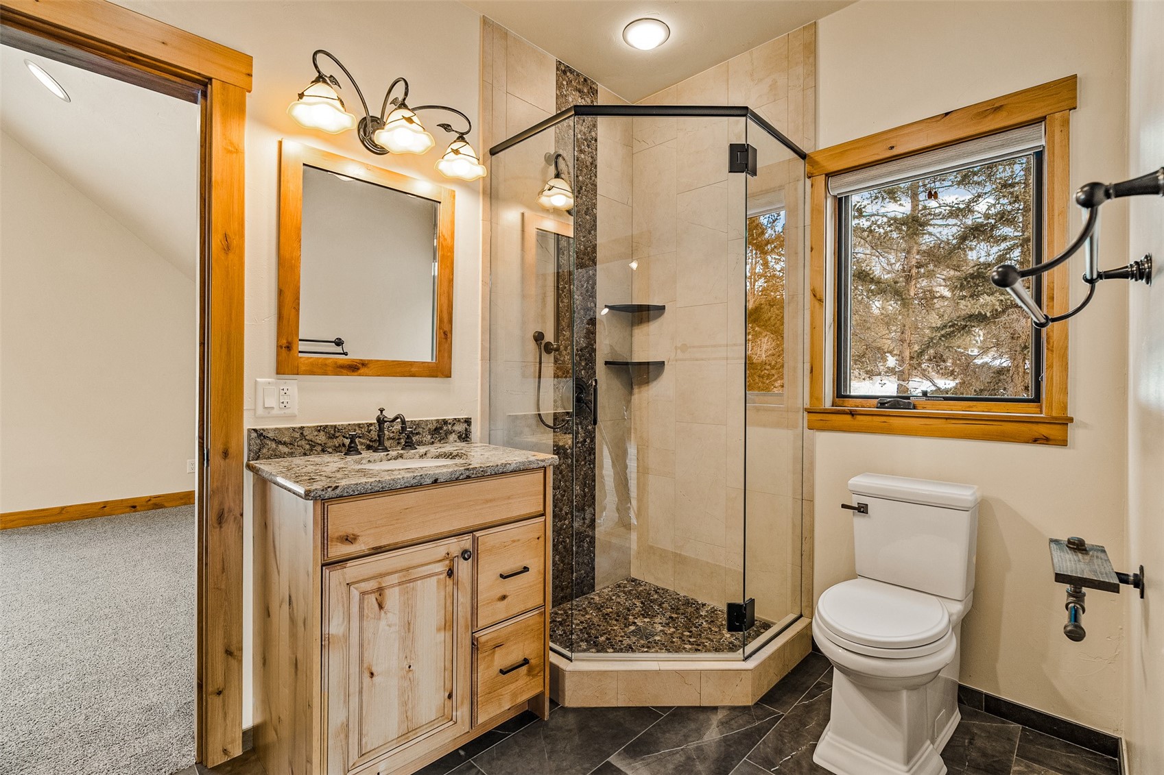 2717 Tiger Road Breckenridge CO 80424