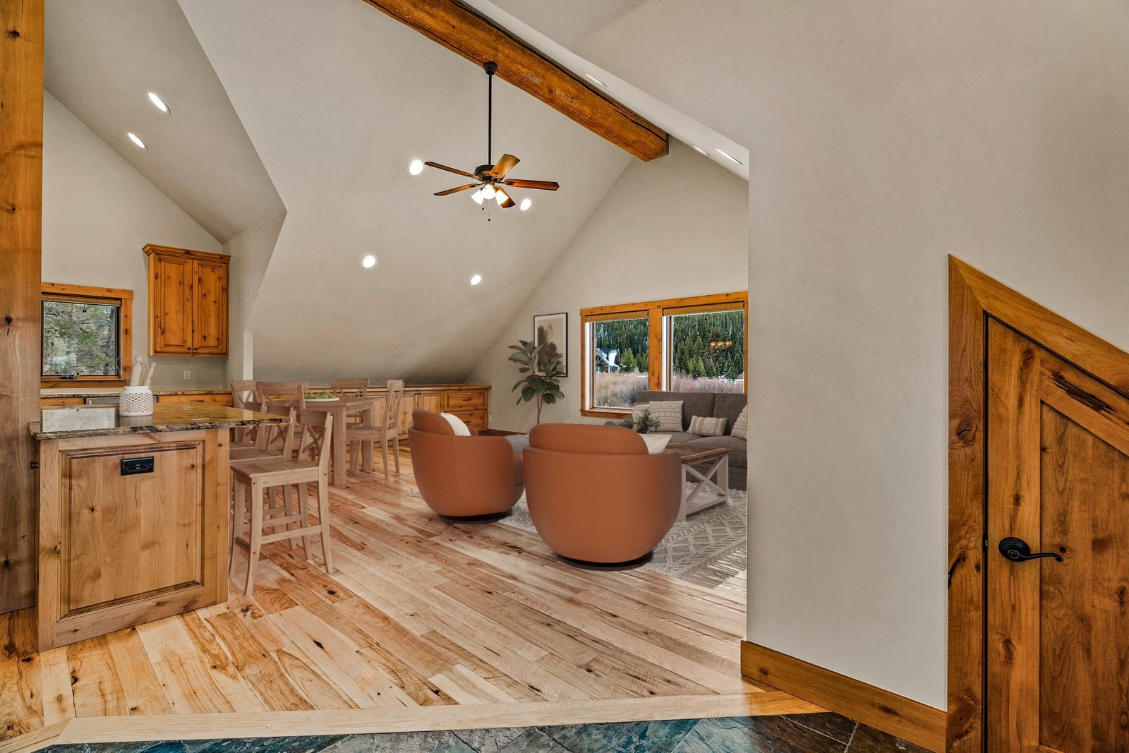 2717 Tiger Road Breckenridge CO 80424