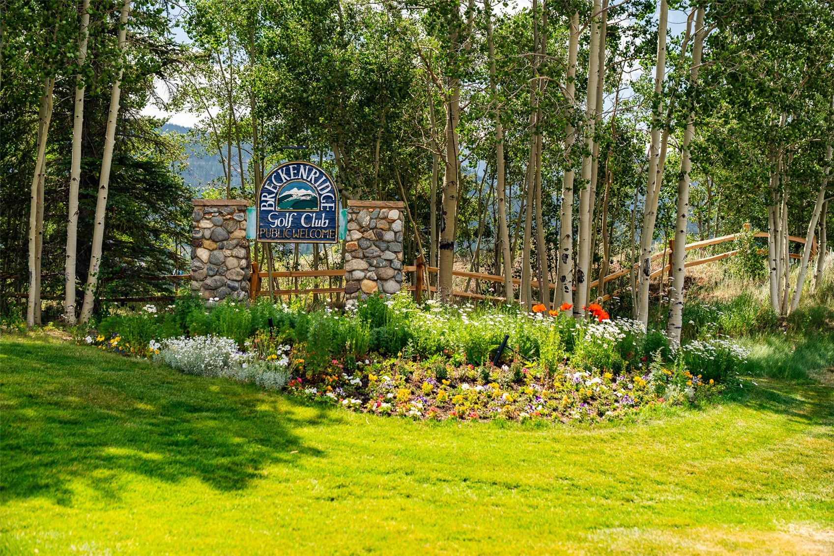 2717 Tiger Road Breckenridge CO 80424