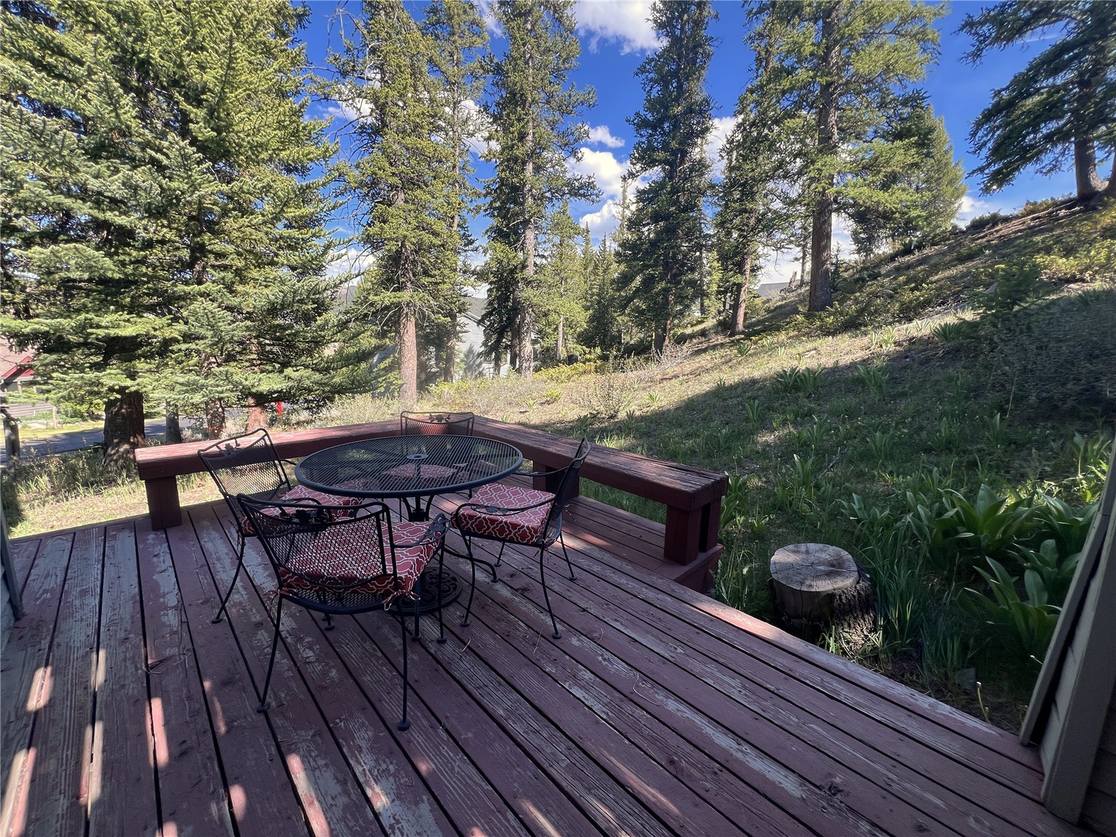 63 Guyot Lane Dillon CO 80435