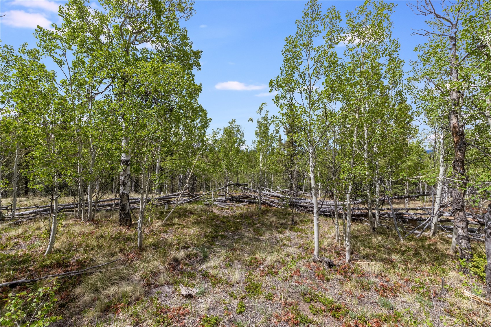 43 Apache Trail Como CO 80432