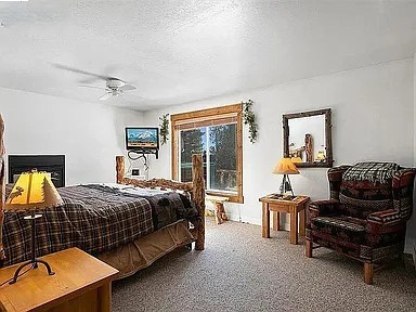 36 Isabelle Court Fairplay CO 80440