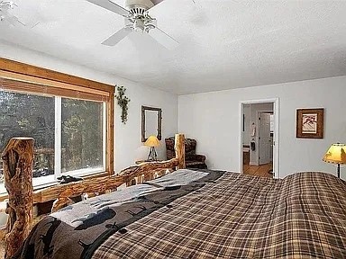 36 Isabelle Court Fairplay CO 80440