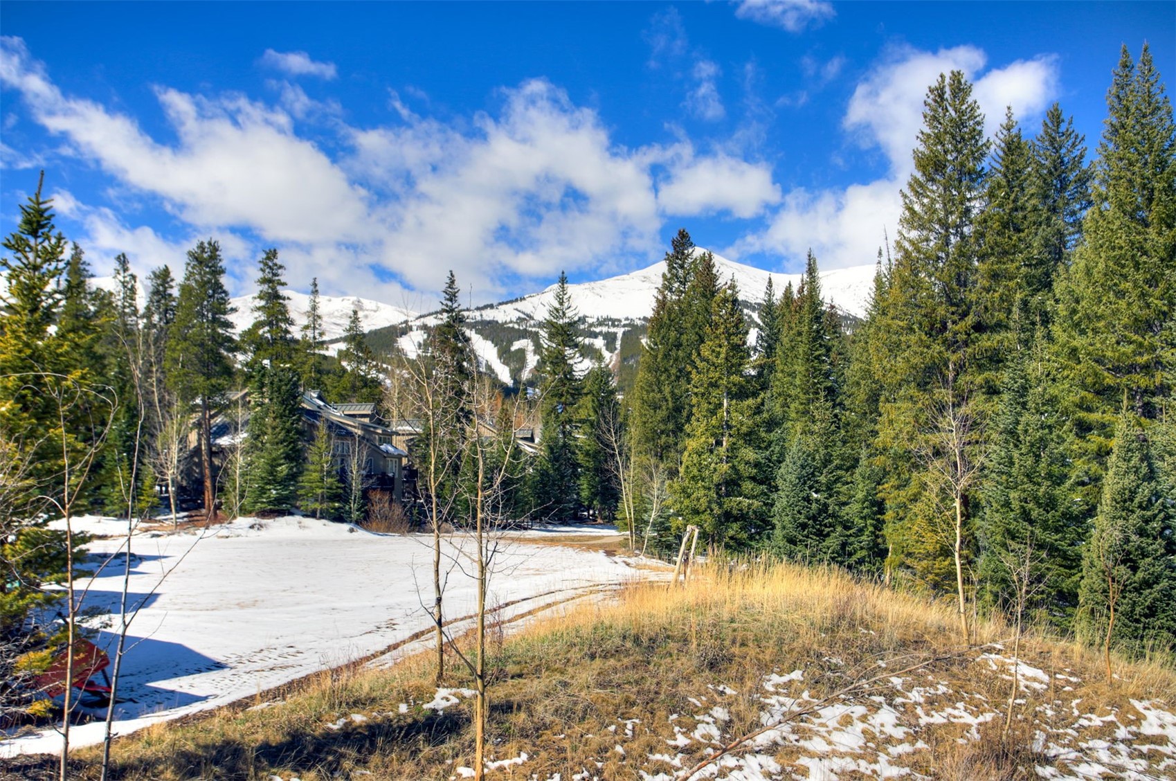 79 Cucumber Creek Road Breckenridge CO 80424