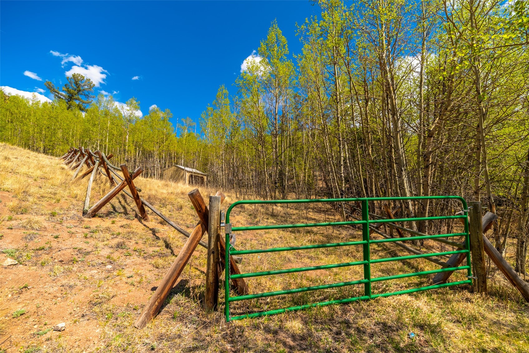 1819 Snyder Creek Road Jefferson CO 80456