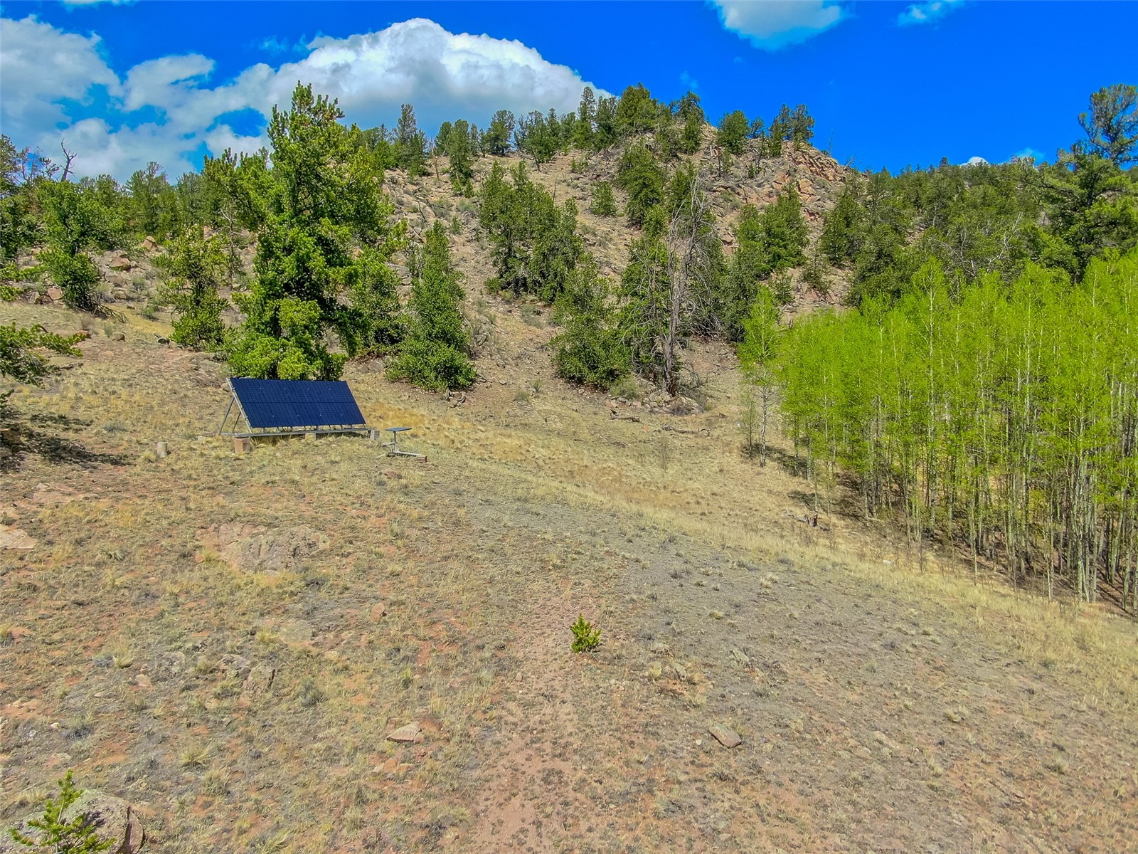 1819 Snyder Creek Road Jefferson CO 80456
