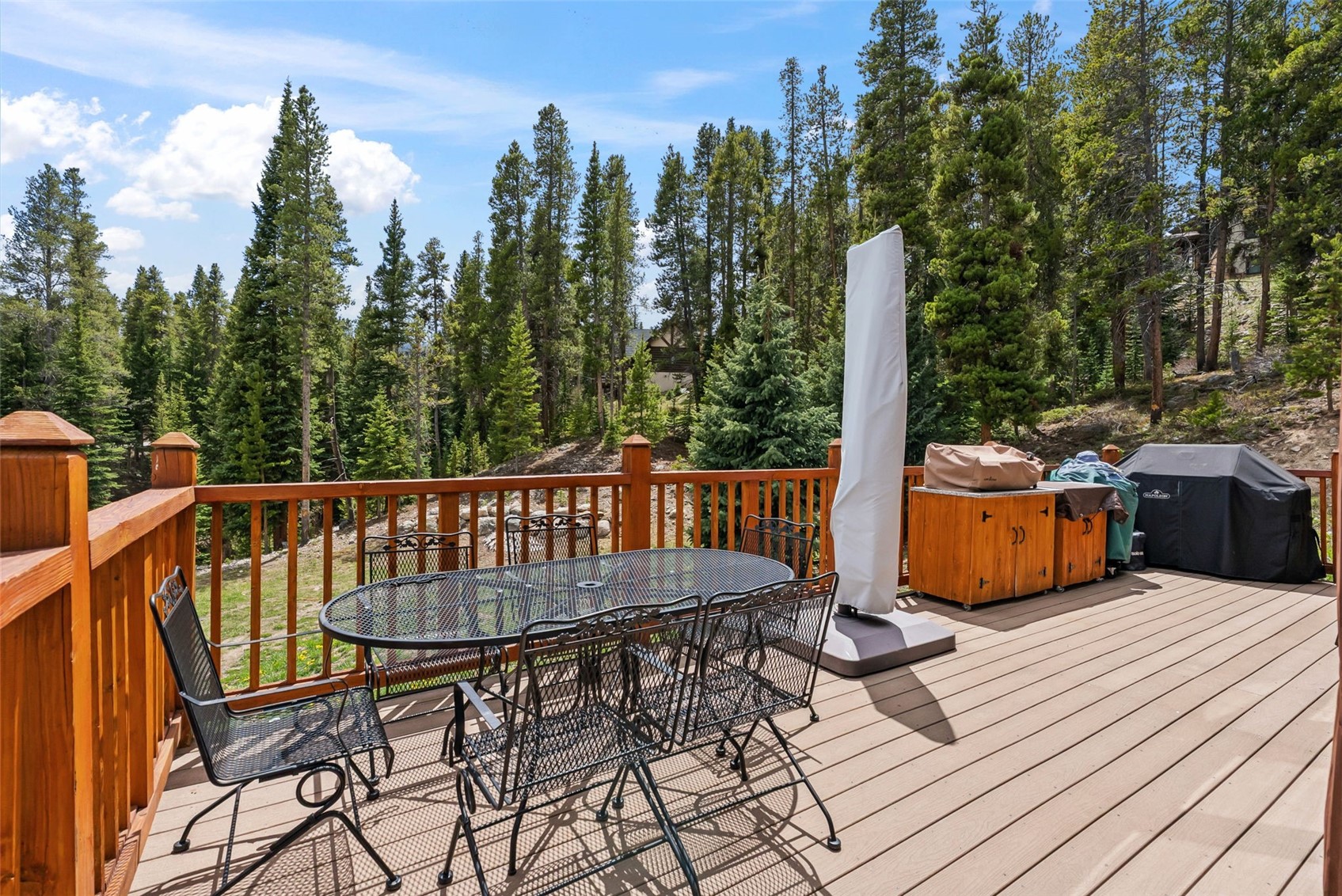 54 Lakeview Drive Breckenridge CO 80424