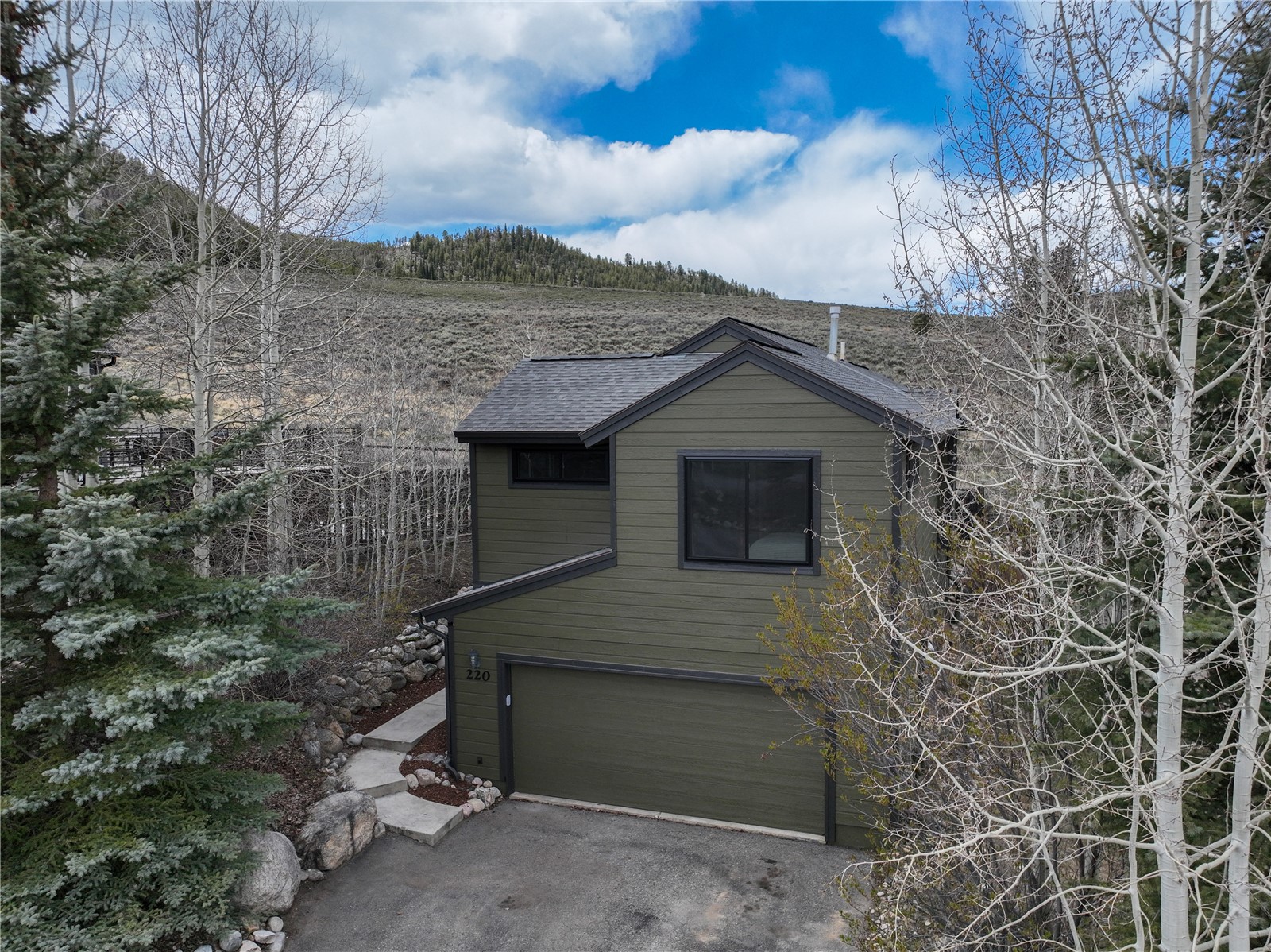 220 Meadow Wood Circle Dillon CO 80435