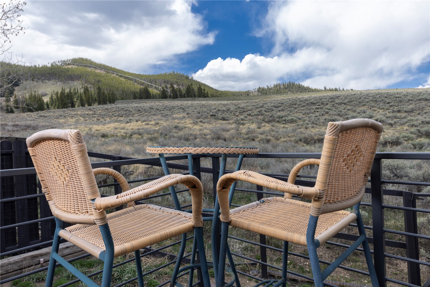 220 Meadow Wood Circle Dillon CO 80435