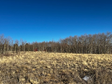 3538 High Creek Road Fairplay CO 80440