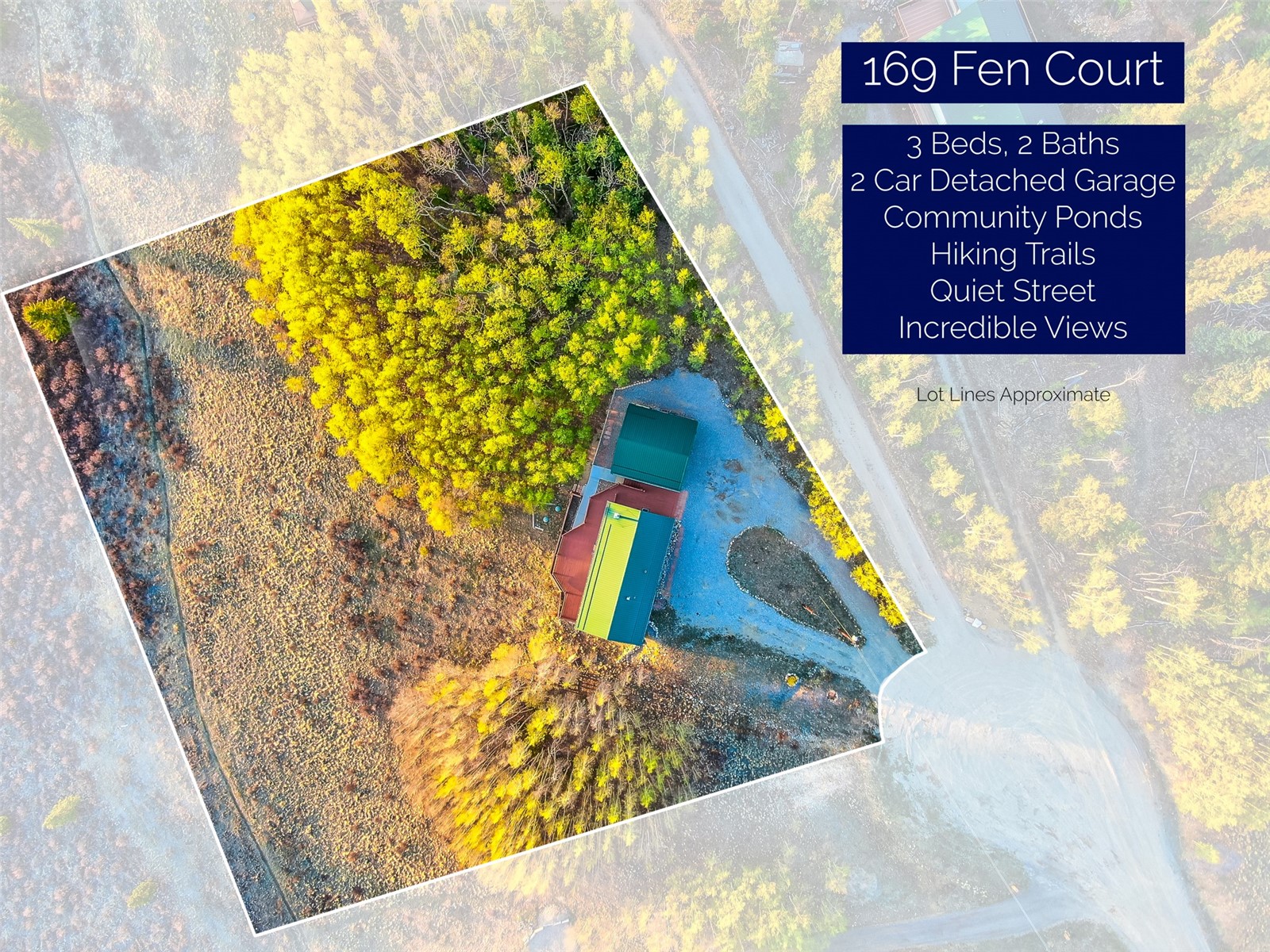 169 Fen Court Fairplay CO 80440