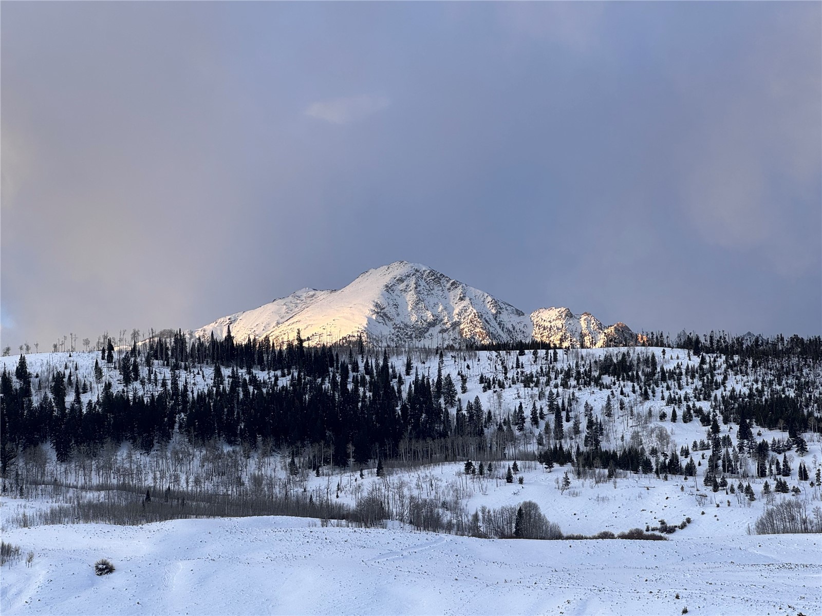 377 Elk Run Road Silverthorne CO 80498
