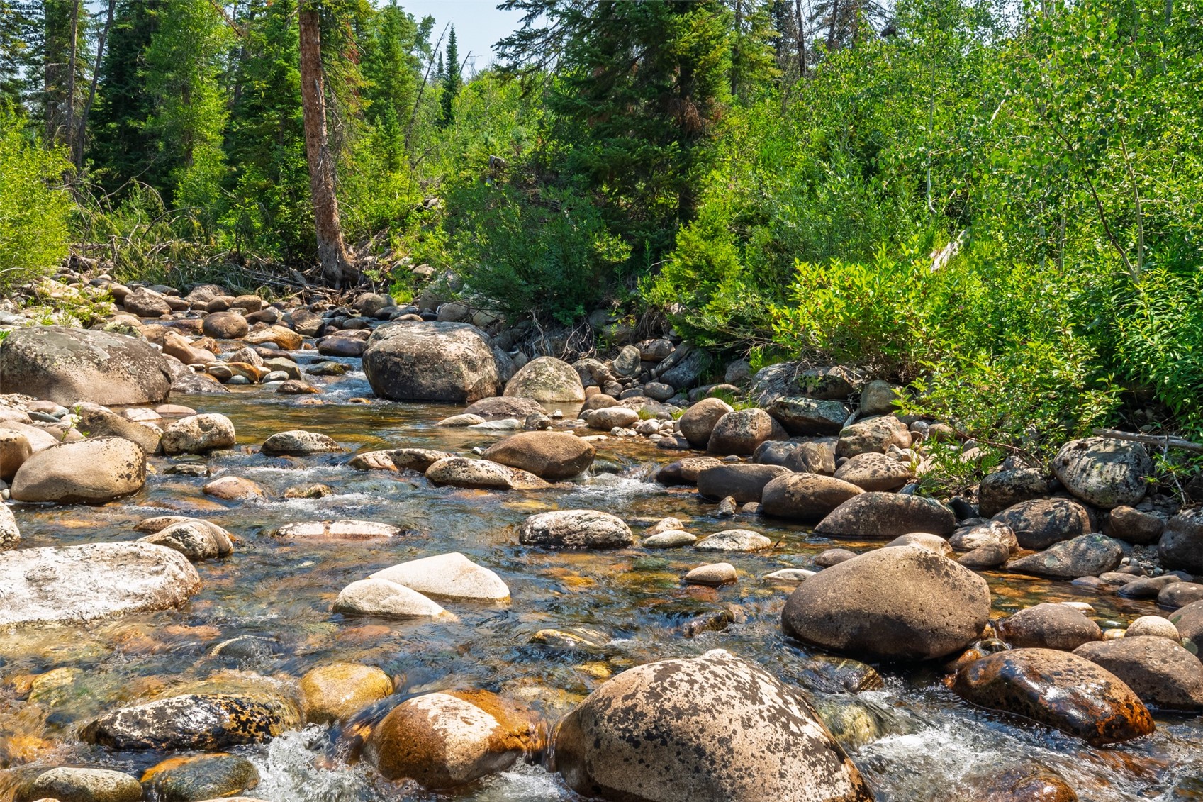32065 Pebble Run Steamboat Springs CO 80487