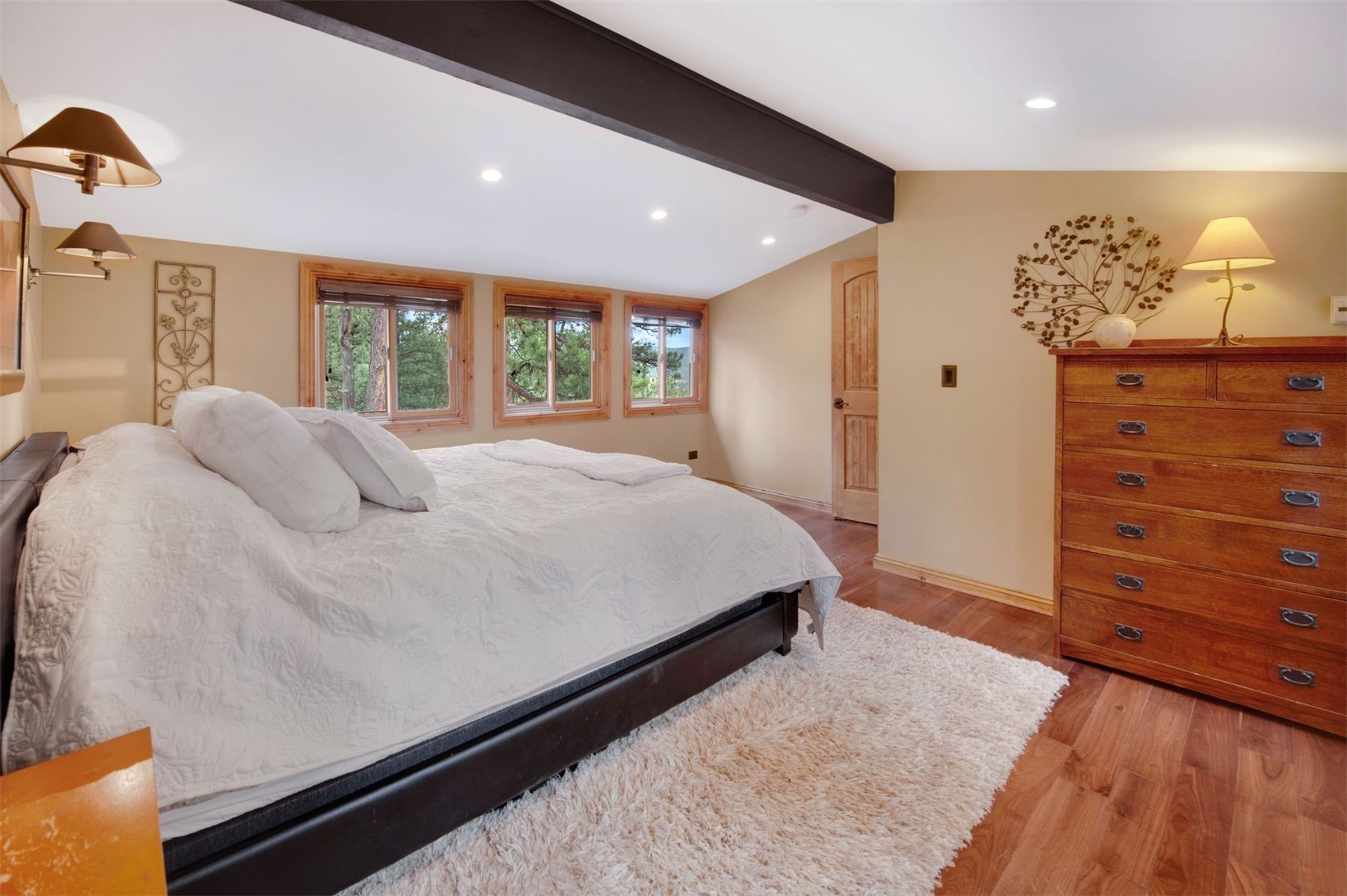 29310 Buchanan Drive Evergreen CO 80439