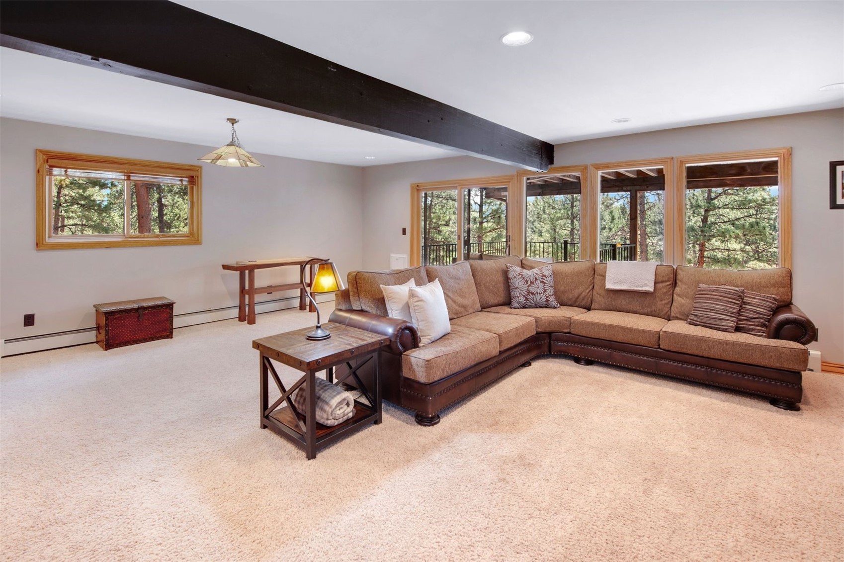 29310 Buchanan Drive Evergreen CO 80439