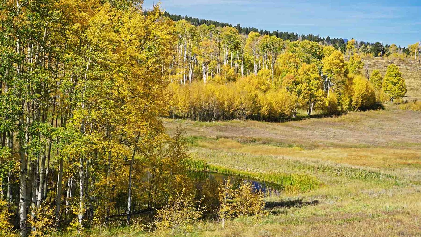 6495 Long Ridge Court Toponas CO 80479