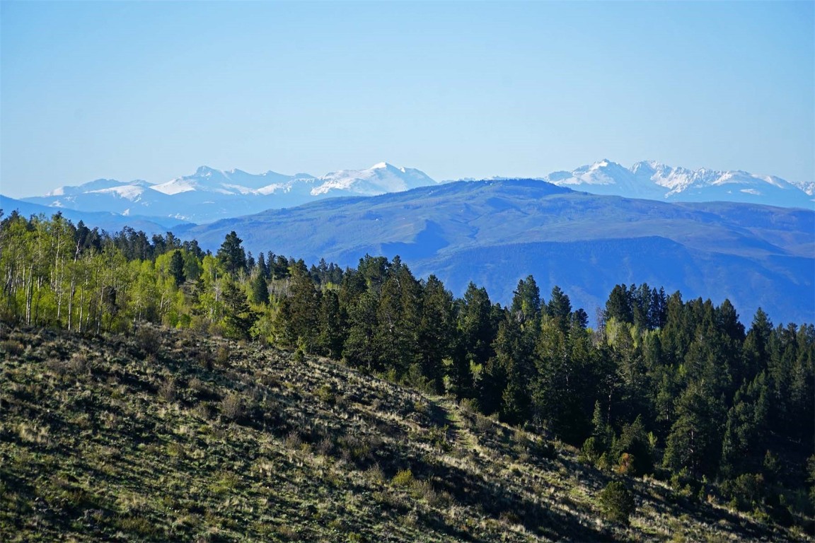 6495 Long Ridge Court Toponas CO 80479