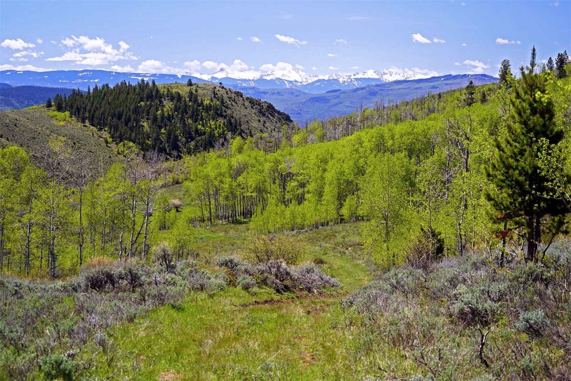 6495 Long Ridge Court Toponas CO 80479