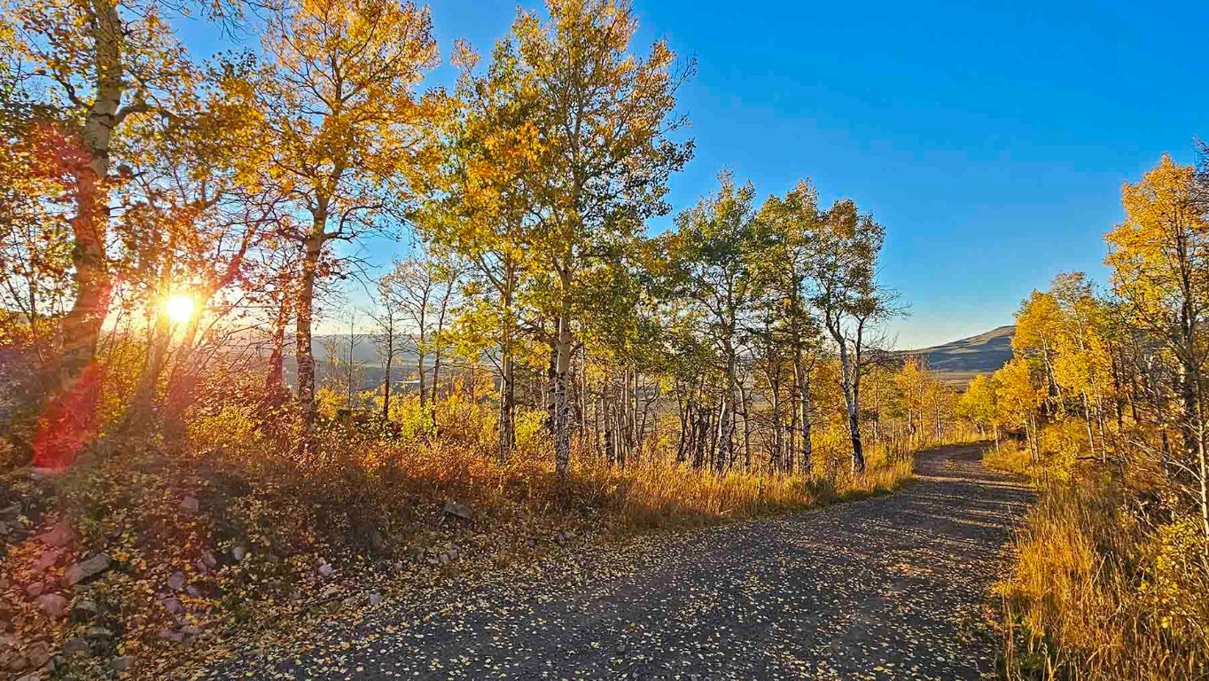 6495 Long Ridge Court Toponas CO 80479