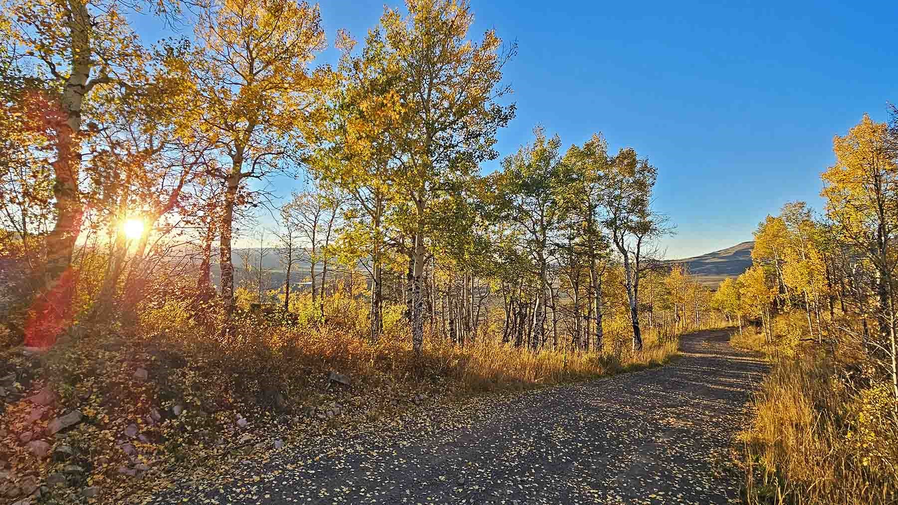 6495 Long Ridge Court Toponas CO 80479