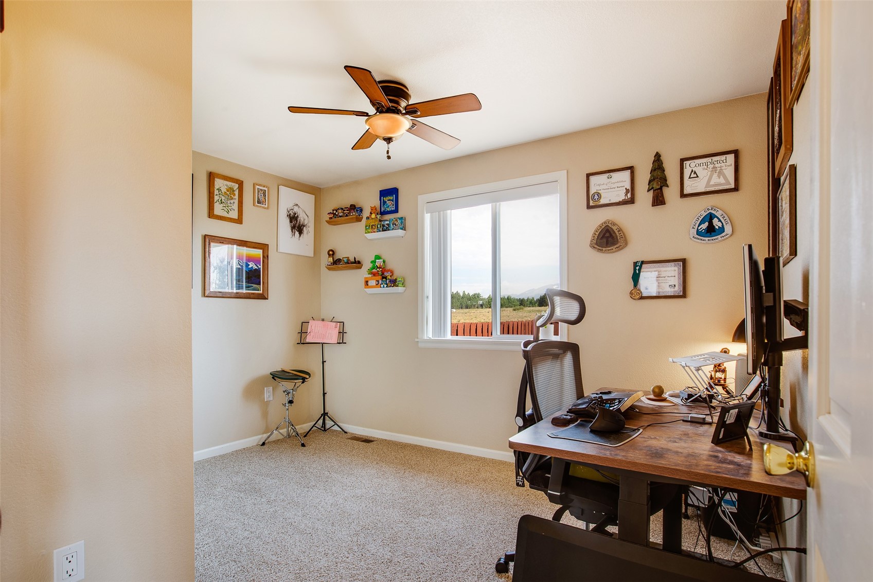 119 Bristlecone Lane Fairplay CO 80440