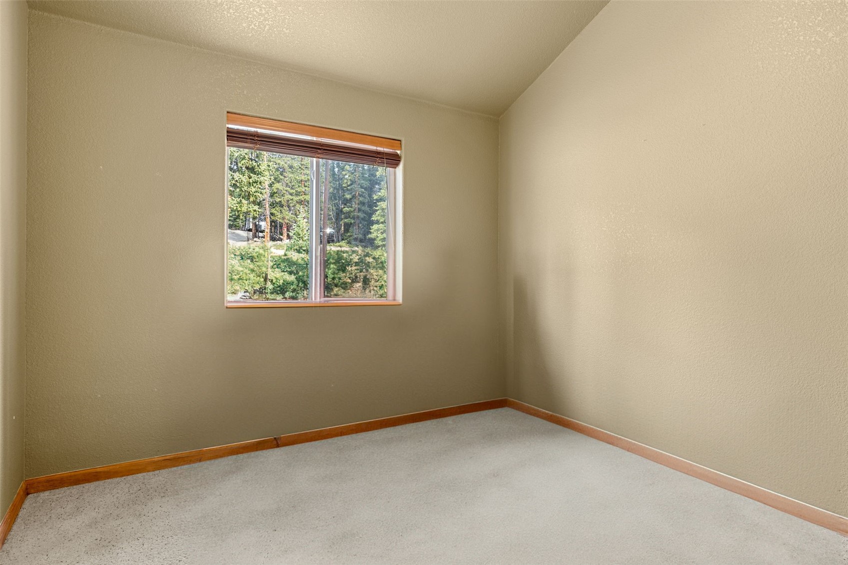 238 Prunes Place Fairplay CO 80440