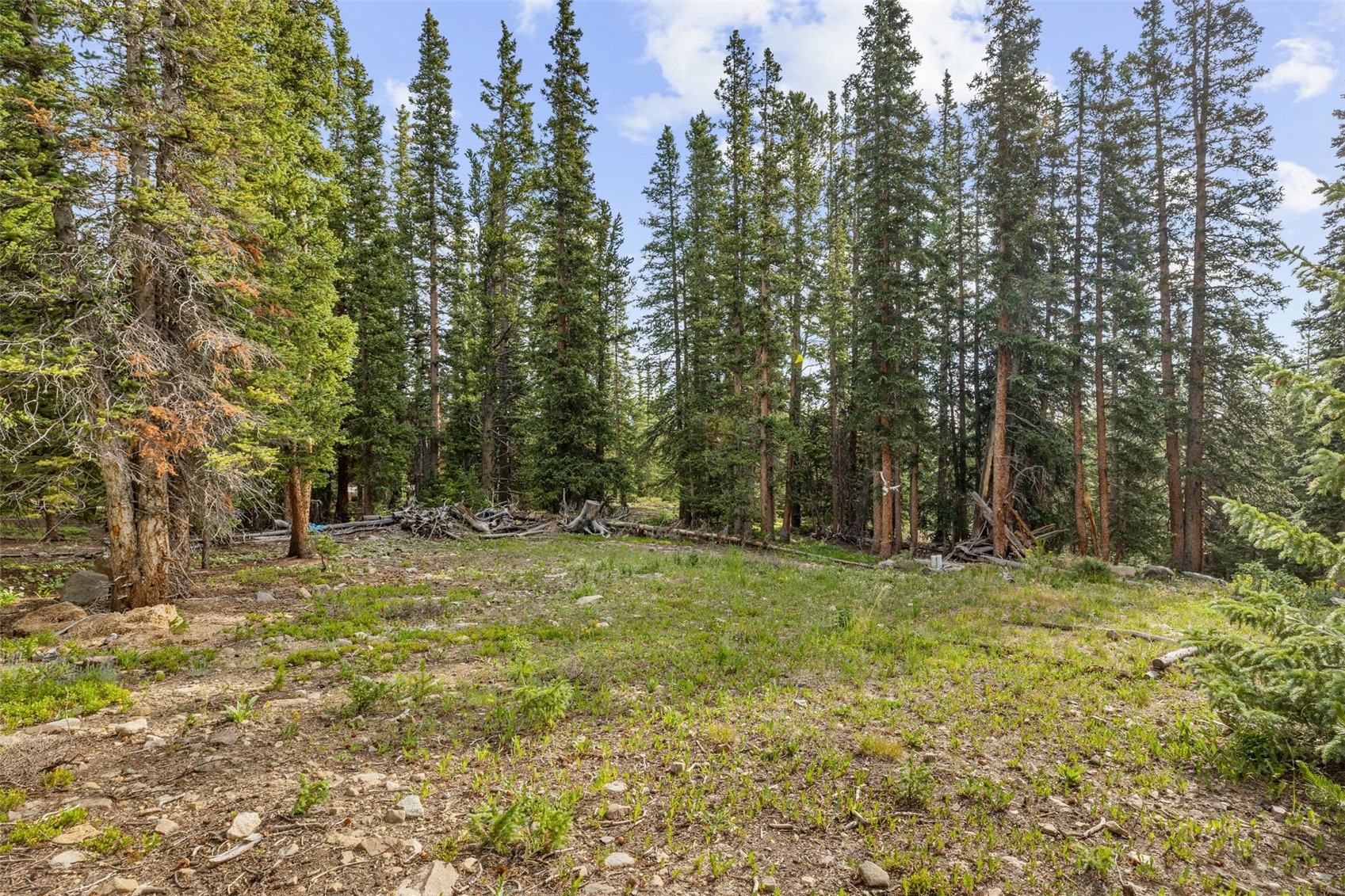 238 Prunes Place Fairplay CO 80440