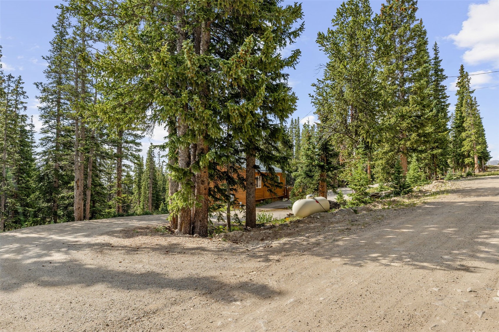 238 Prunes Place Fairplay CO 80440
