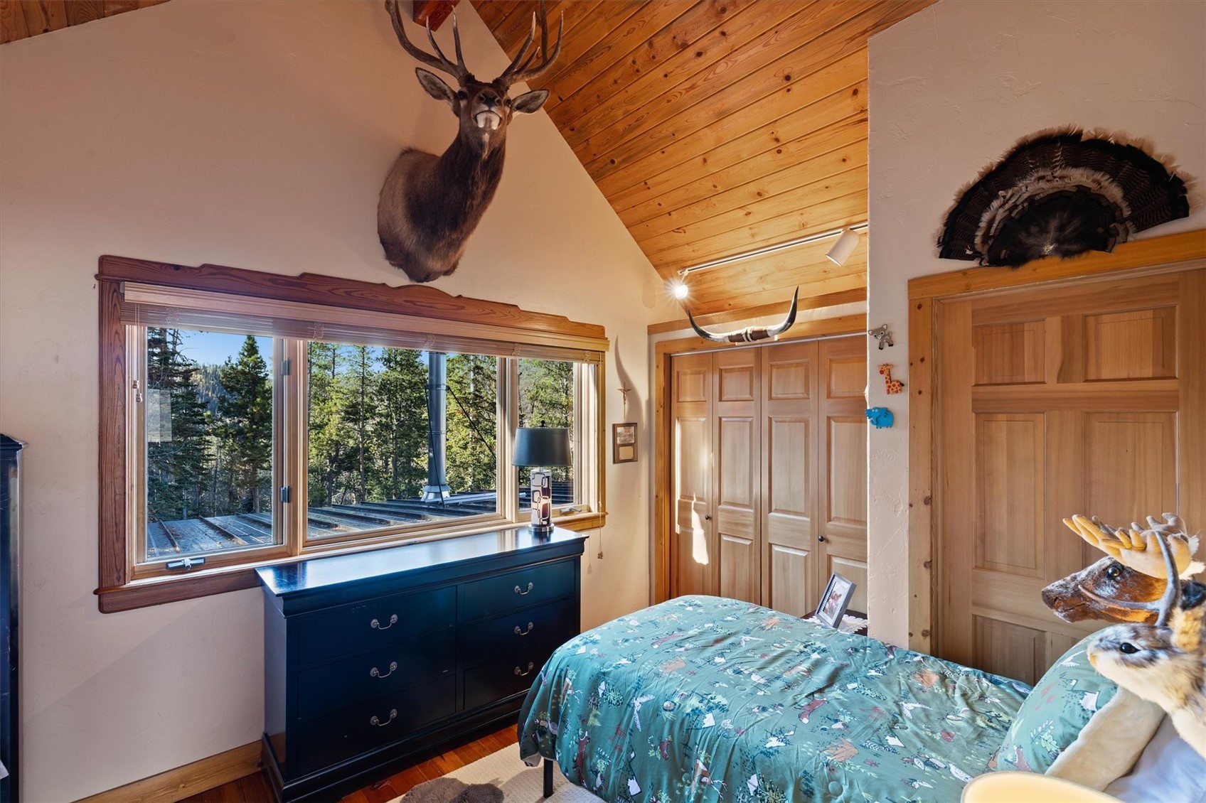 30720 Elk Lane Steamboat Springs CO 80487