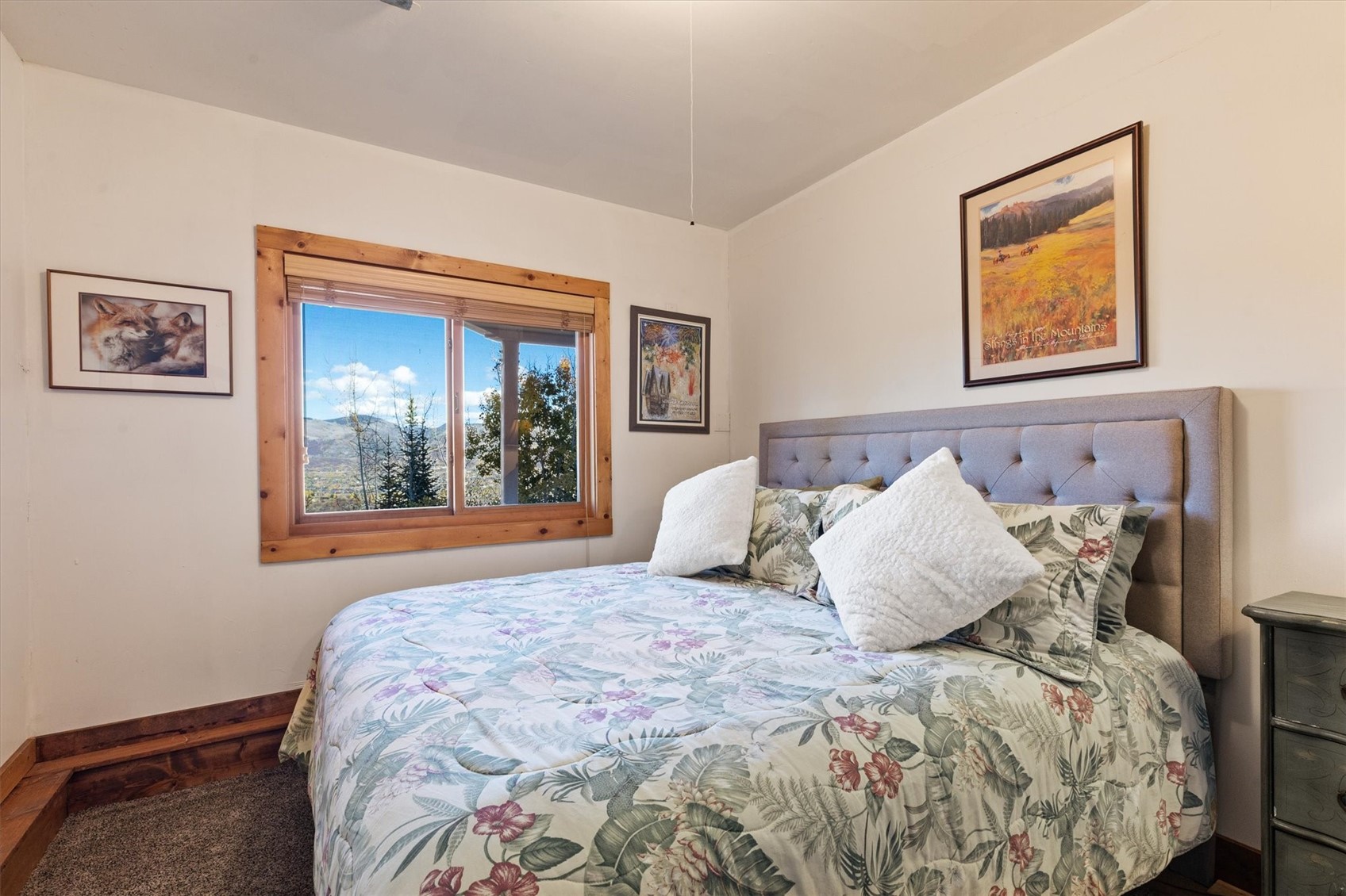 30720 Elk Lane Steamboat Springs CO 80487