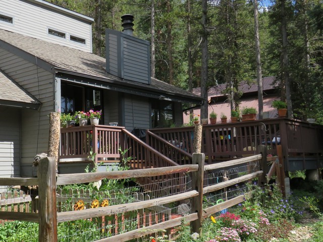 464 Wilderness Drive Breckenridge CO 80424